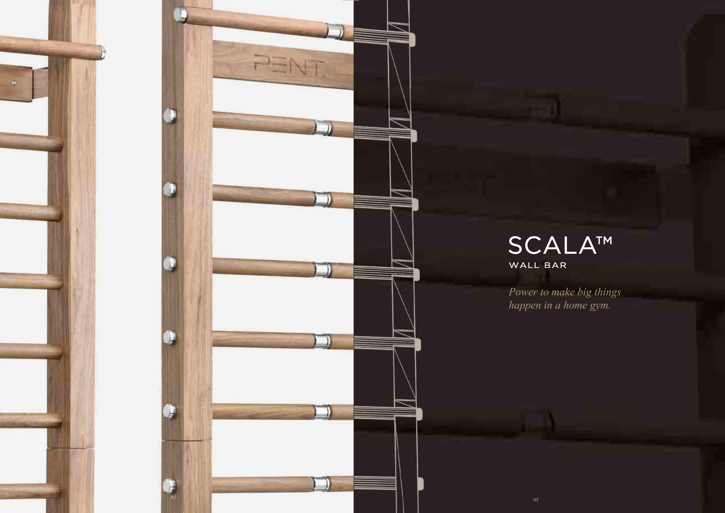 21 Close-up of the PENT Scala ladder.png