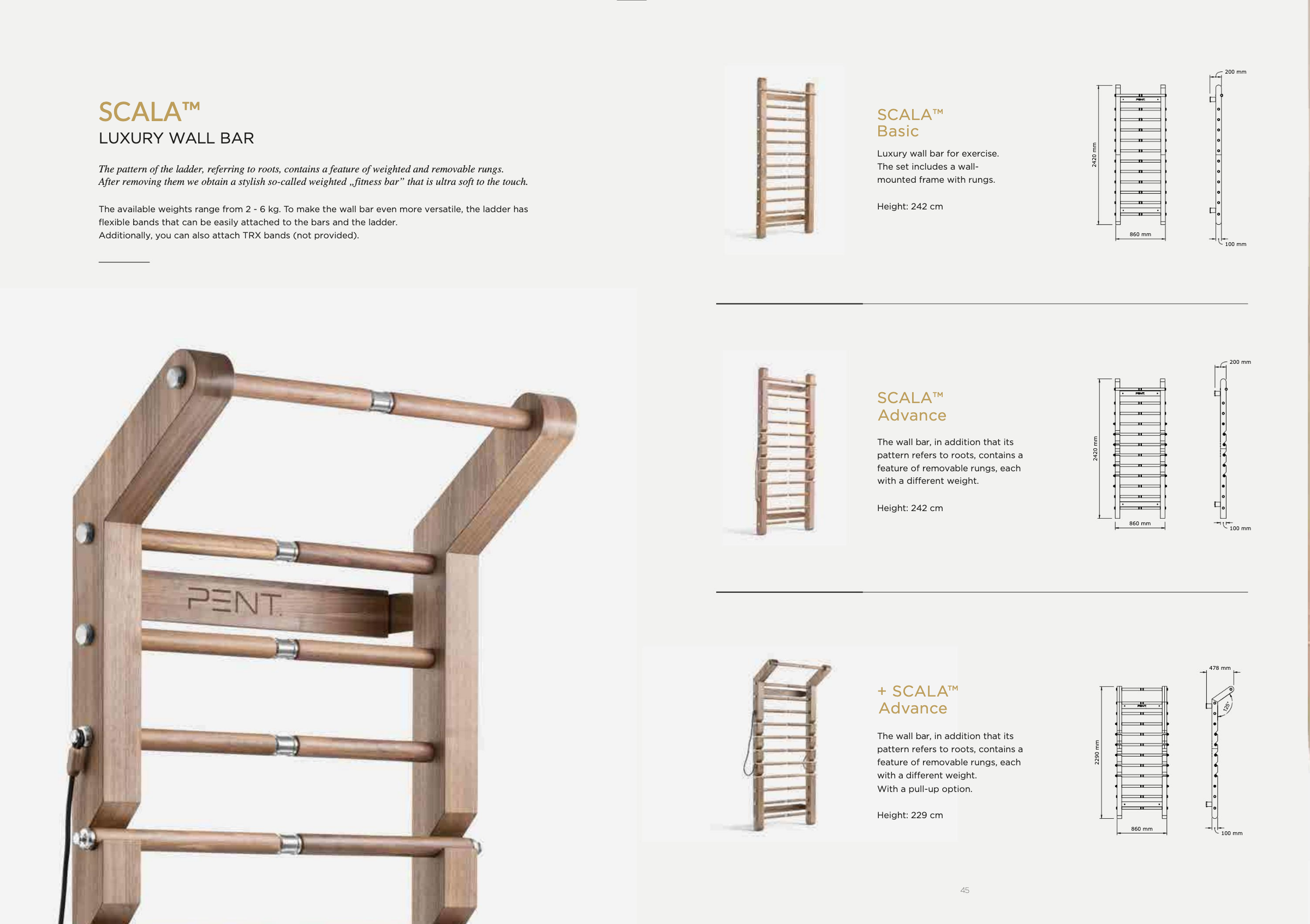 22 PENT specs for the Scala wallbars ladders.png