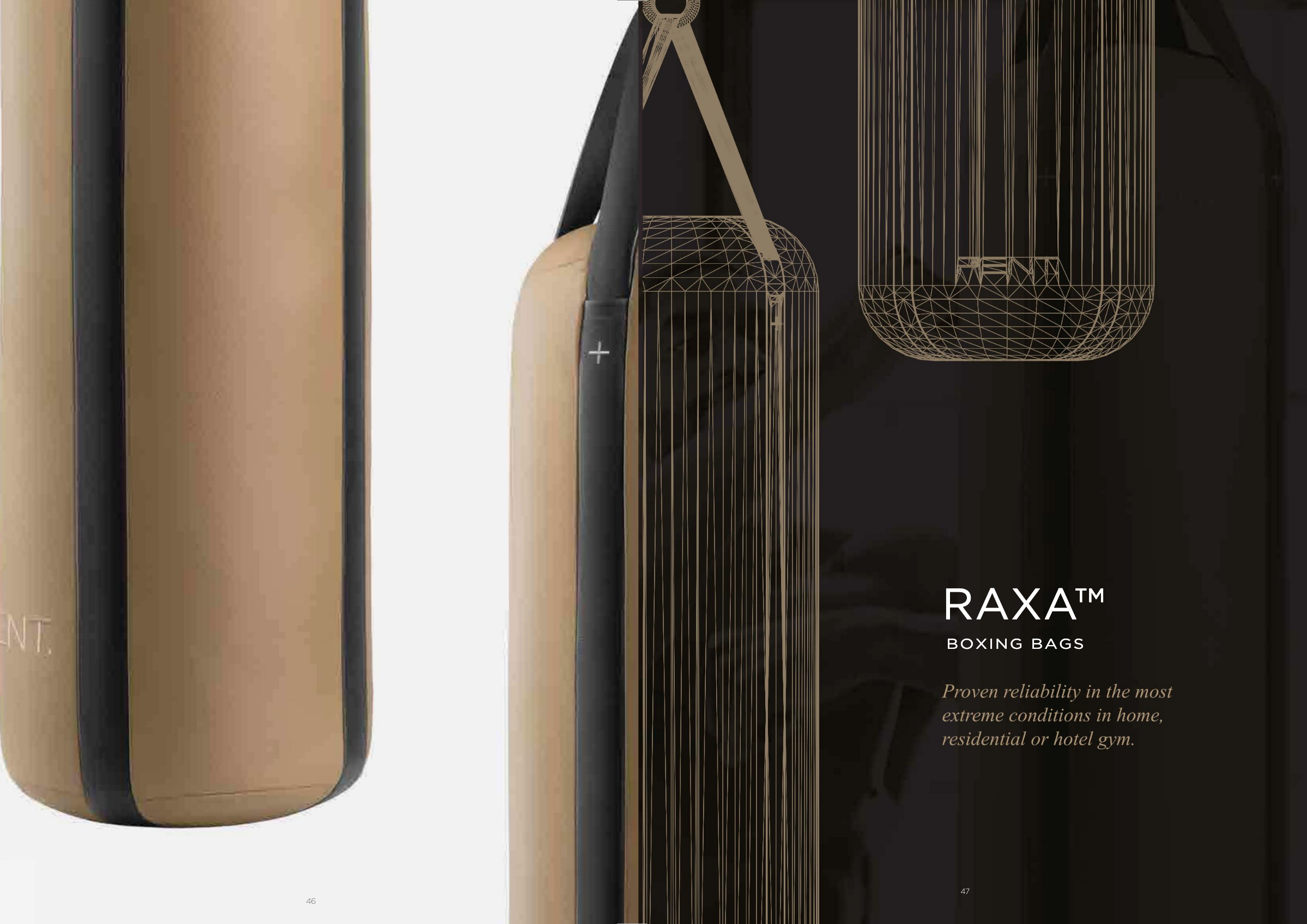 23 Close-up of the PENT Raxa heavy bag.png