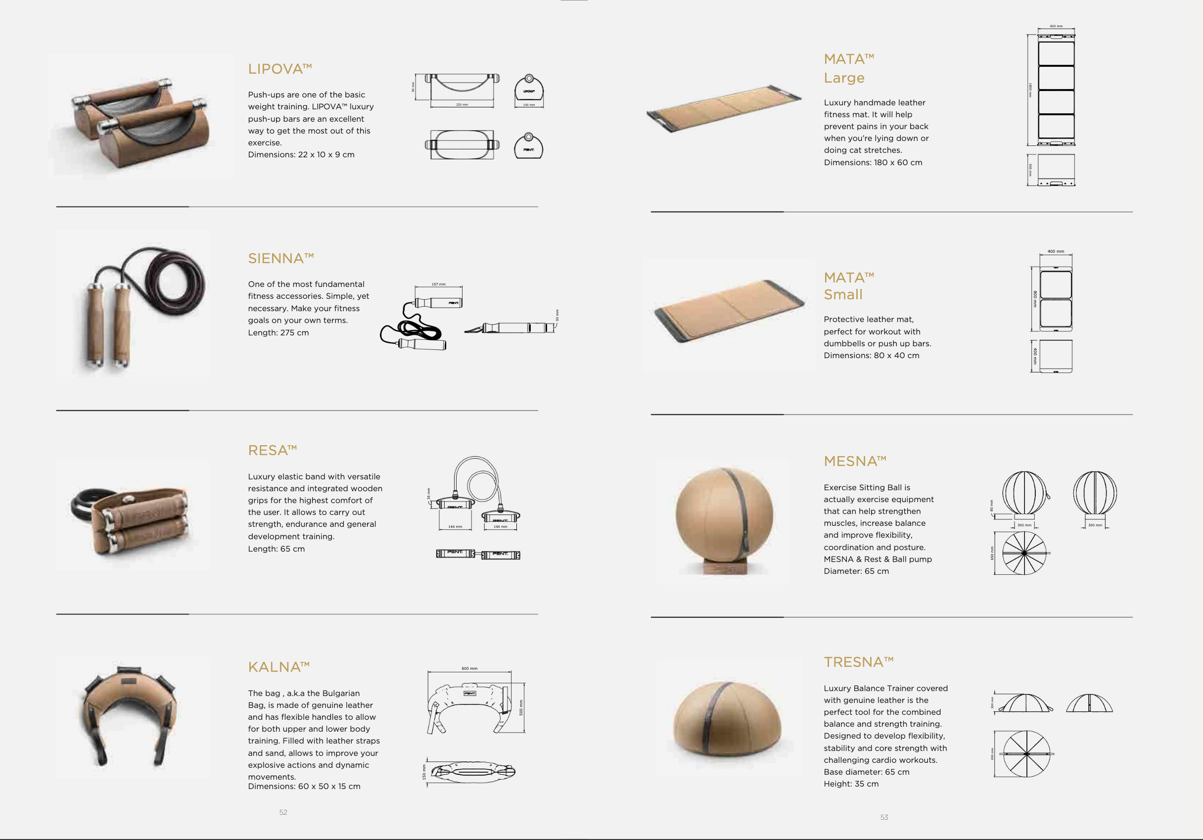 26 PENT specs for their fitness accessories.png
