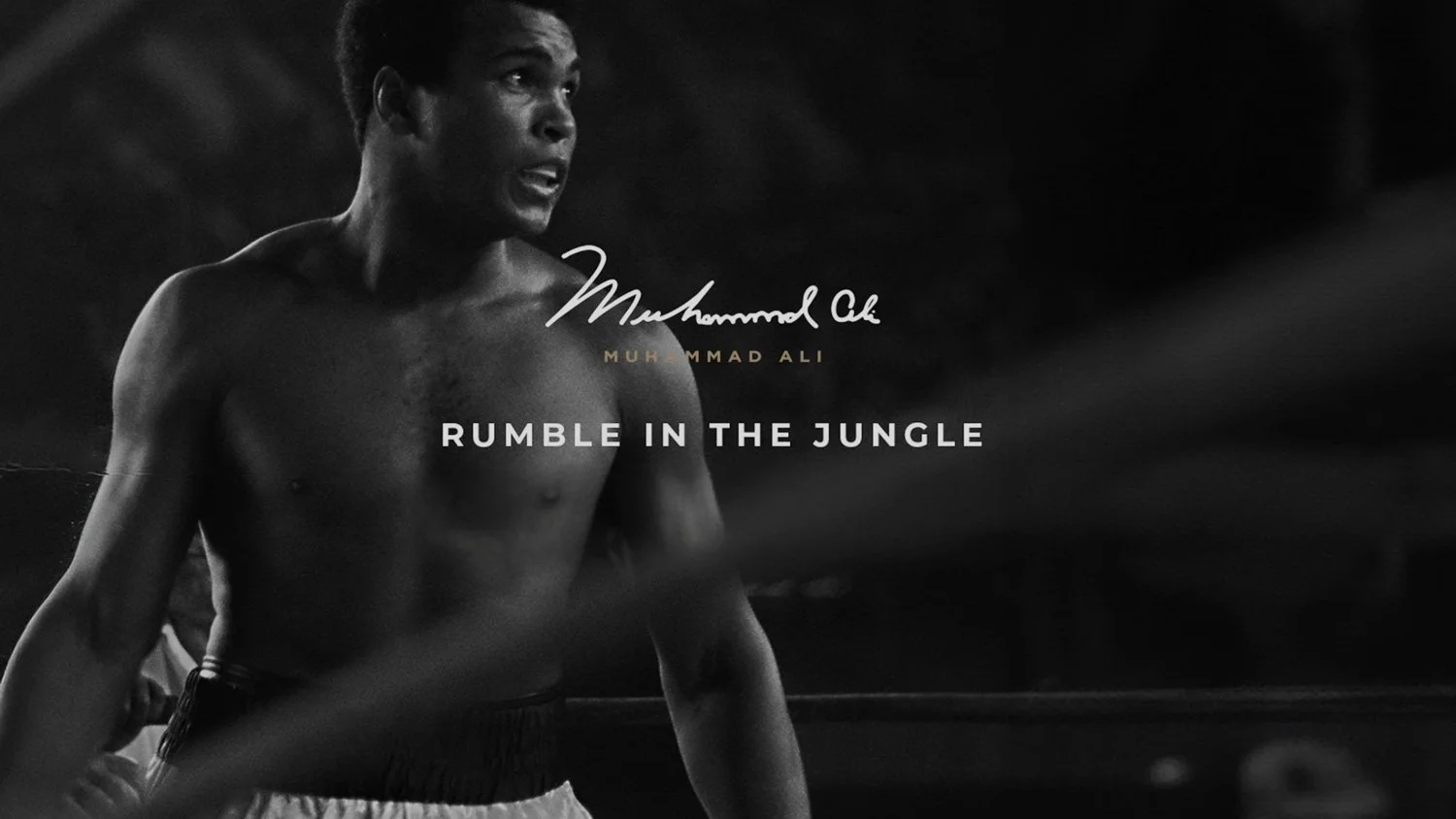 Muhammed-Ali-Fitness-Collection-by-PENT.jpg