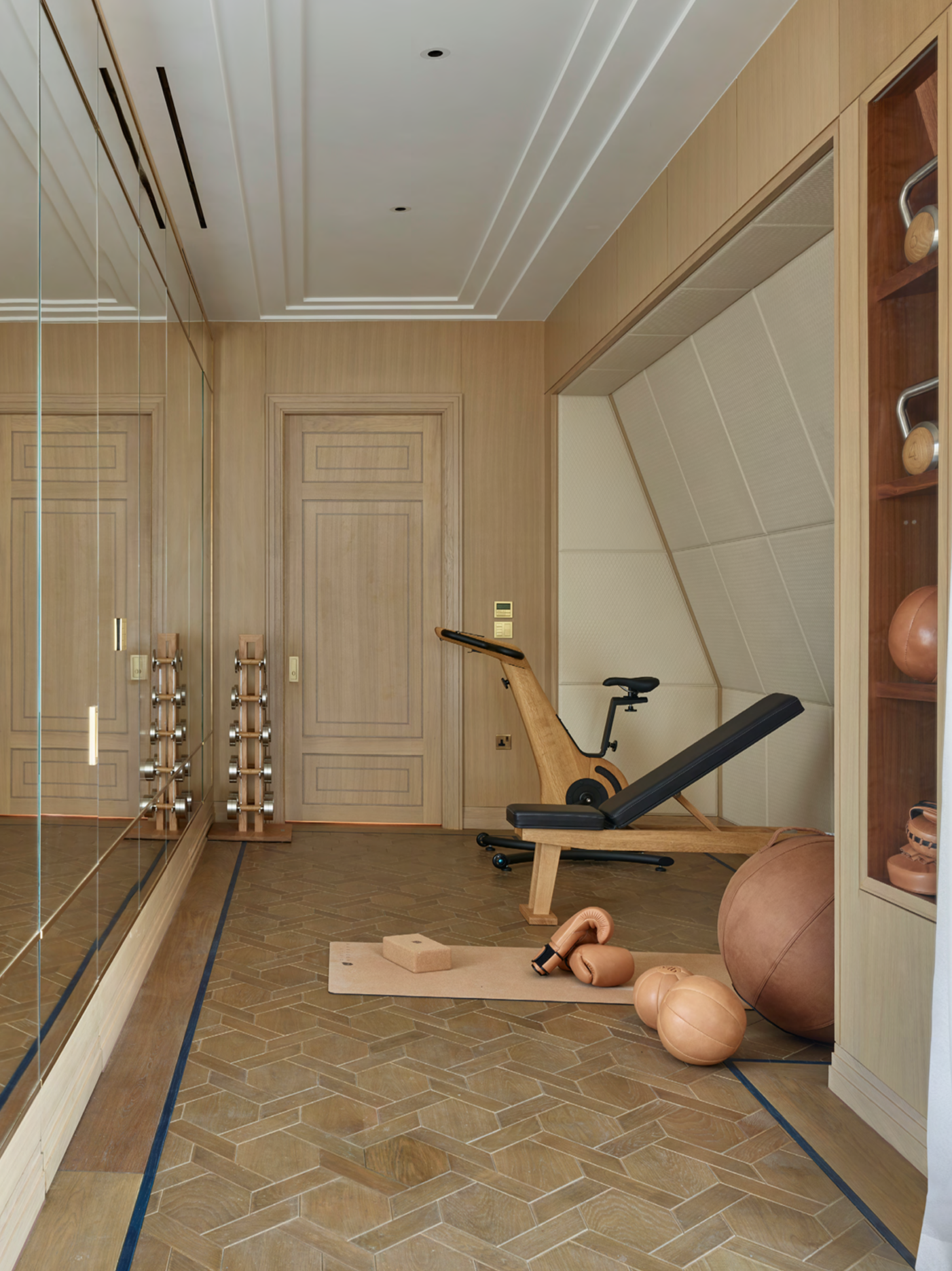 Luxury Home Gym with Paragon Fitness and Nohrd Equpment.png