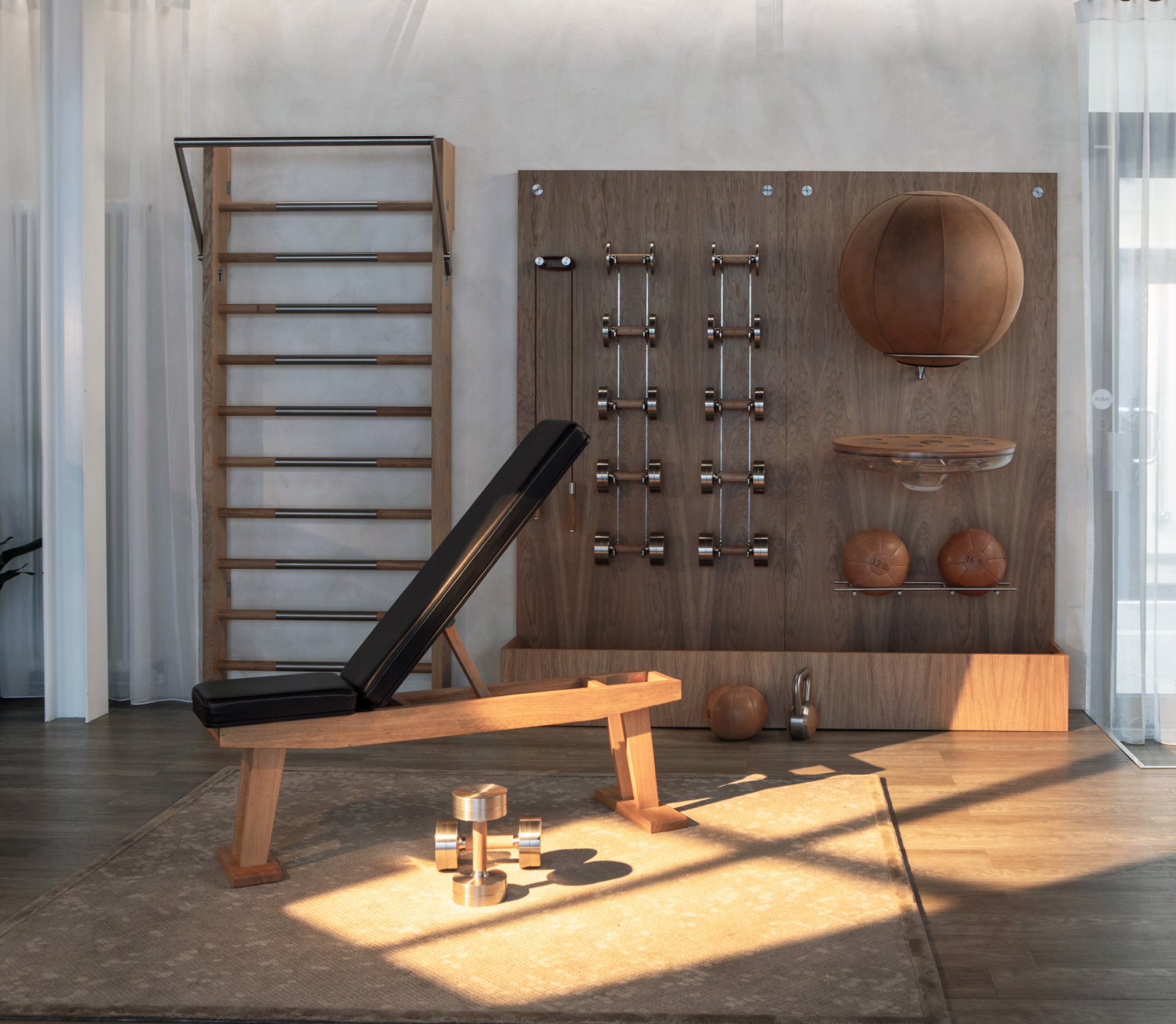 Paragon Fitness Storage Wall and Ladder.png