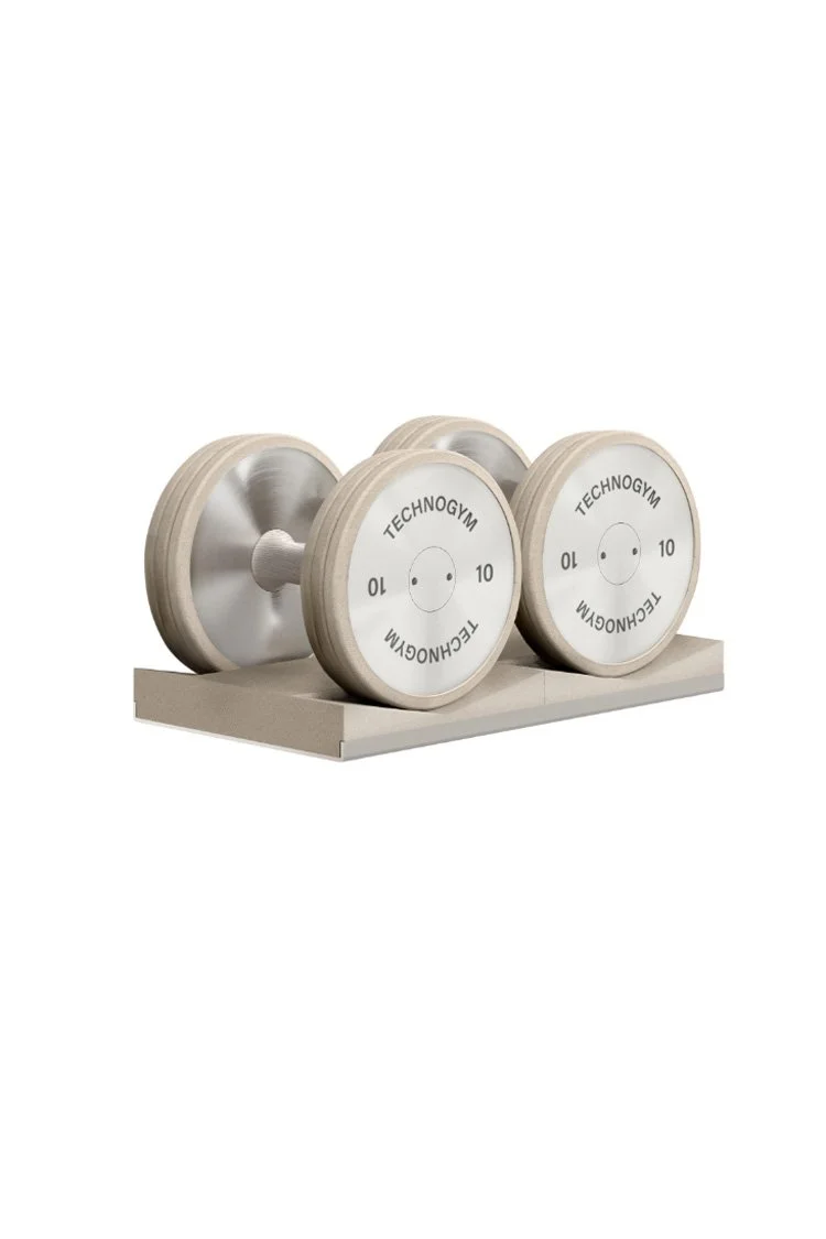 Technogym-Sand-Stone-Dumbbells.jpg