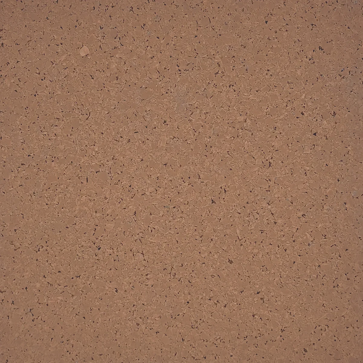 Triathlon Brown