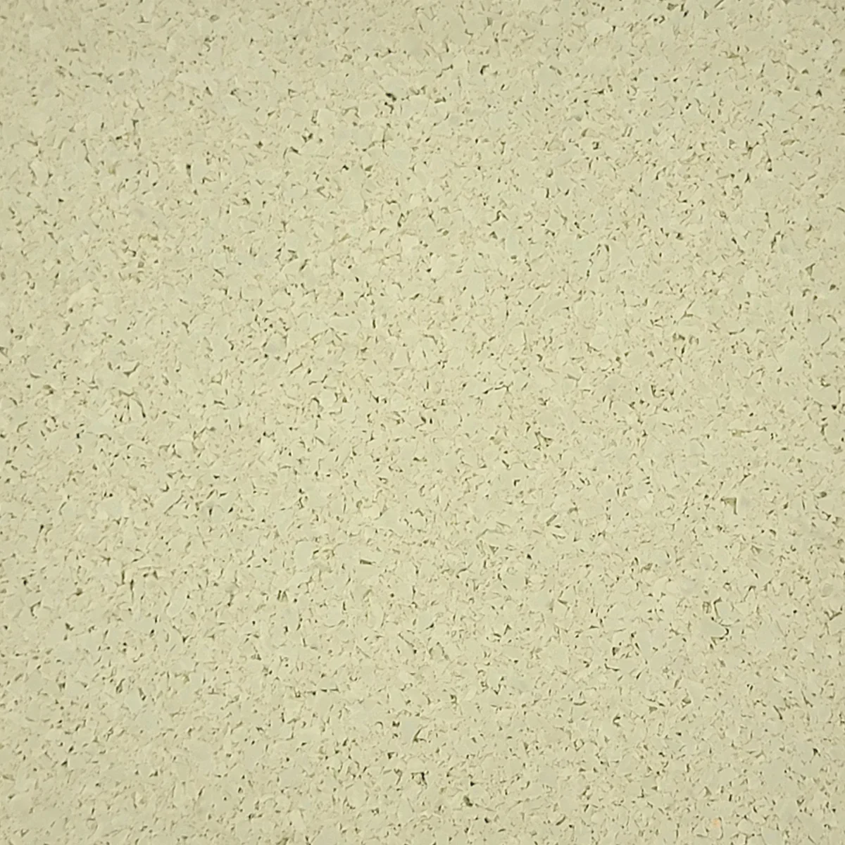 Triathlon Khaki