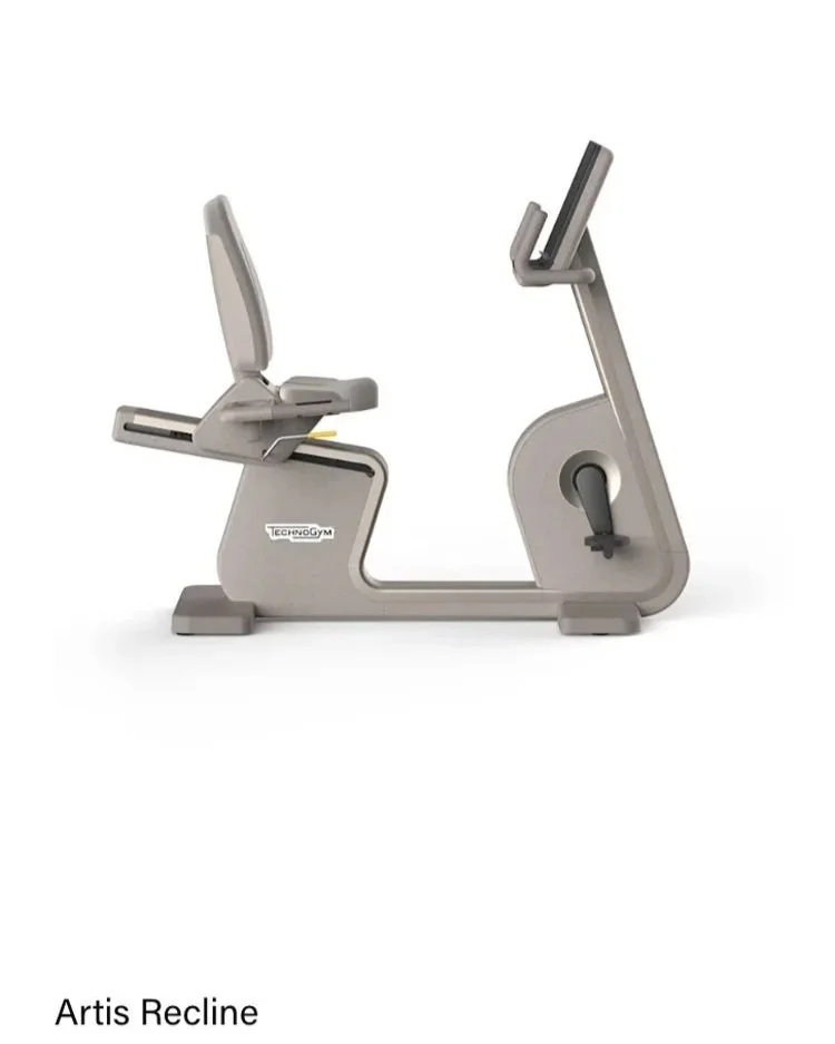 Technogym-Sand-Stone-Artis-Recline.jpg