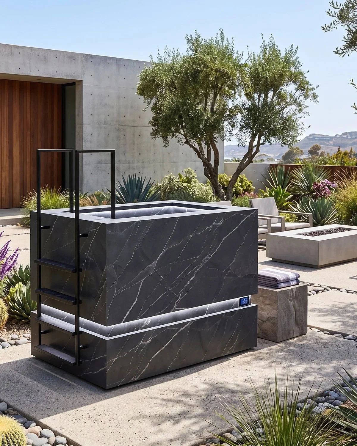Luxury dunk style cold plunge