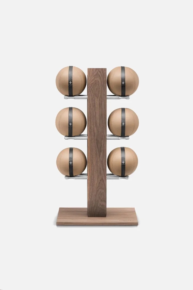 PENT-Moxa-Medicine-Ball-Set---Vertical.jpg