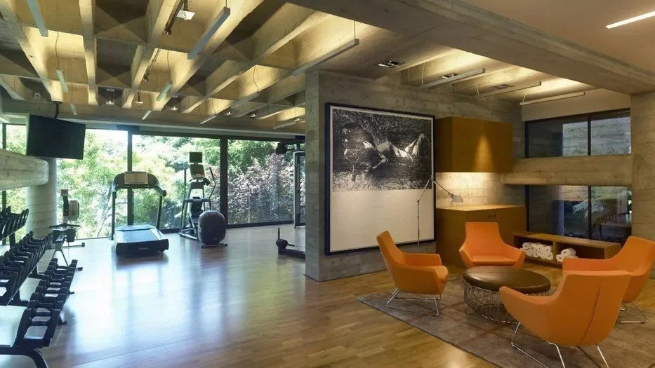 Luxury Home Gym Design Ideas That Will Make You Drool — IRON HOUSE DESIGN