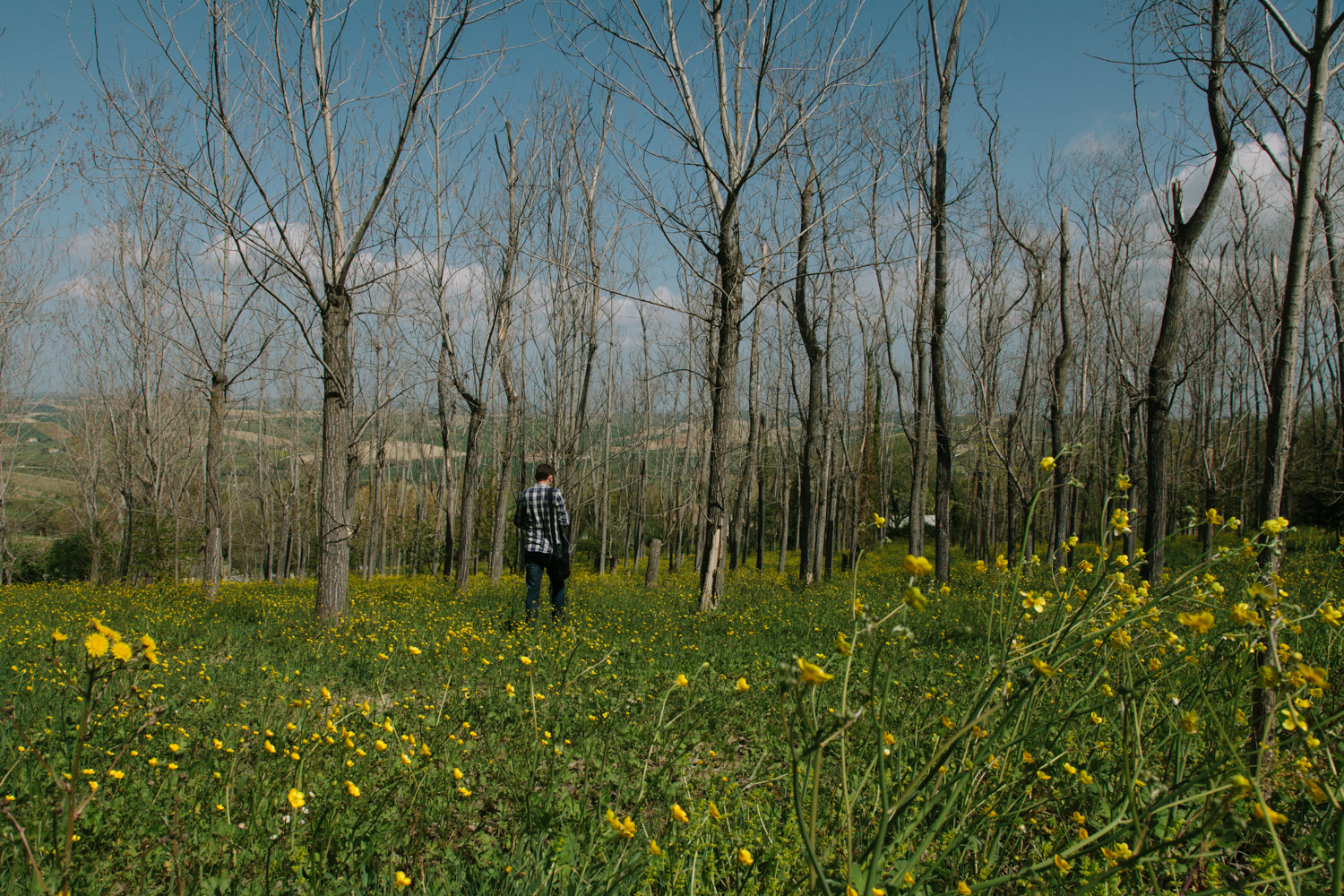 Exploring Marche 2 Italy travel photography by on a hazy morning