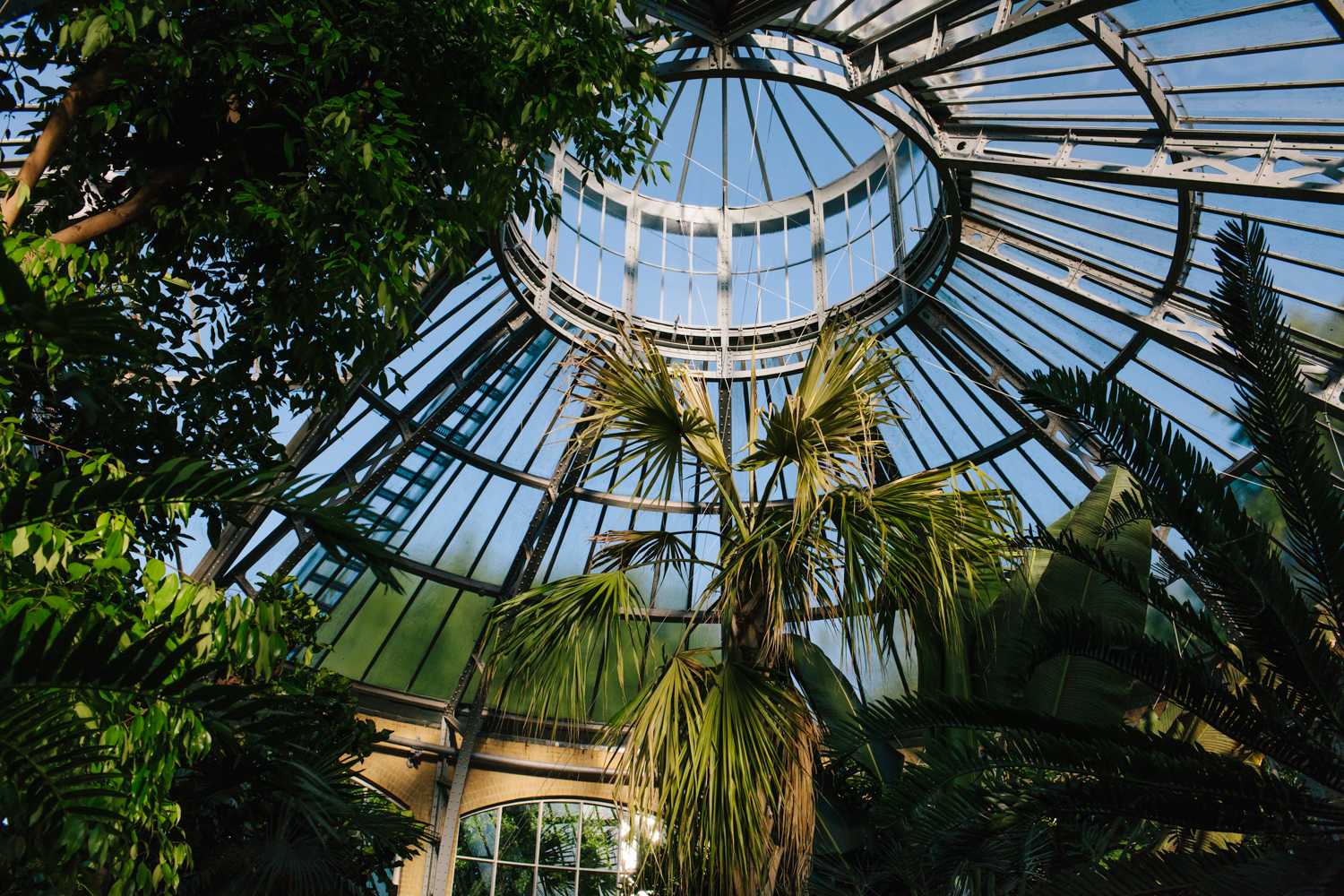 Wedding Sion and Karen - Hortus Botanicus Amsterdam | huwelijk |