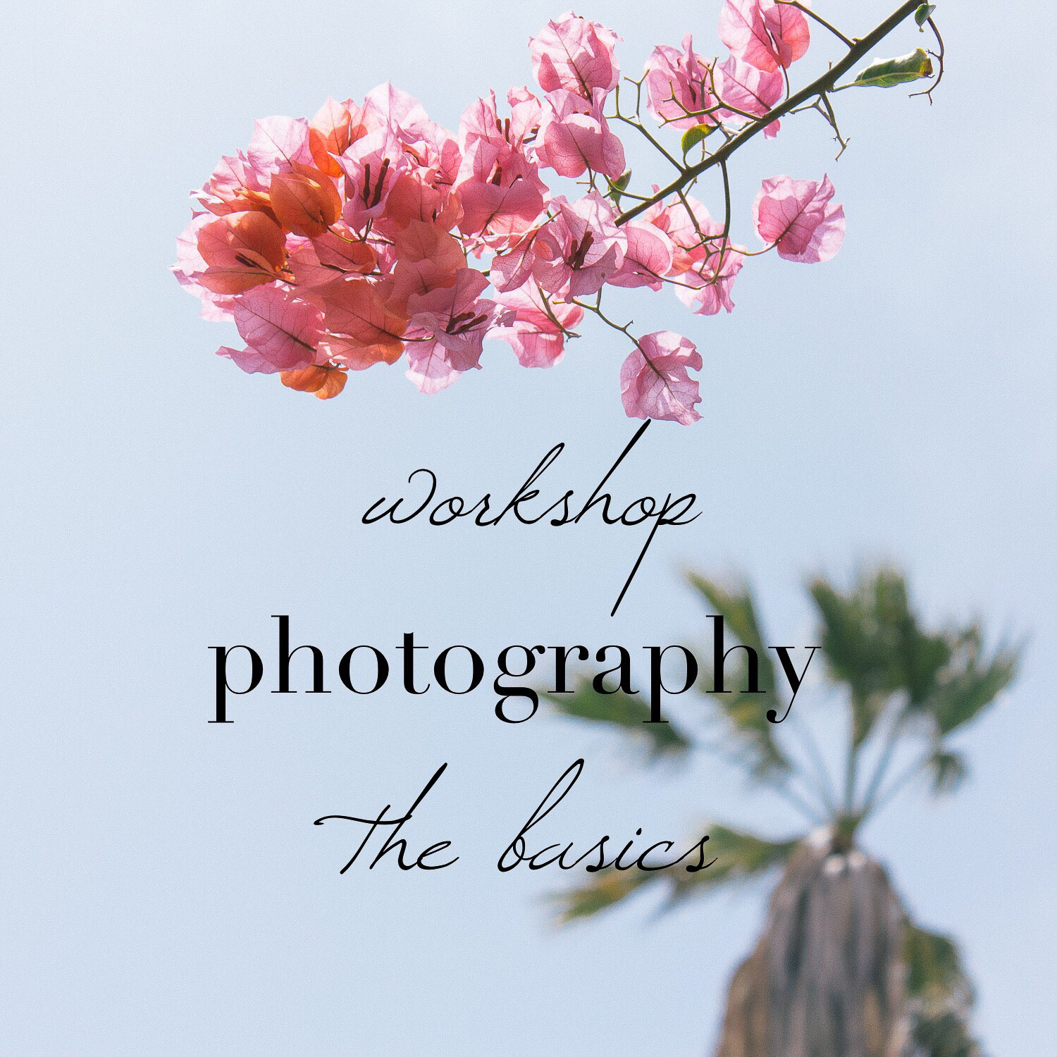 Workshop photography basics - basis fotografie