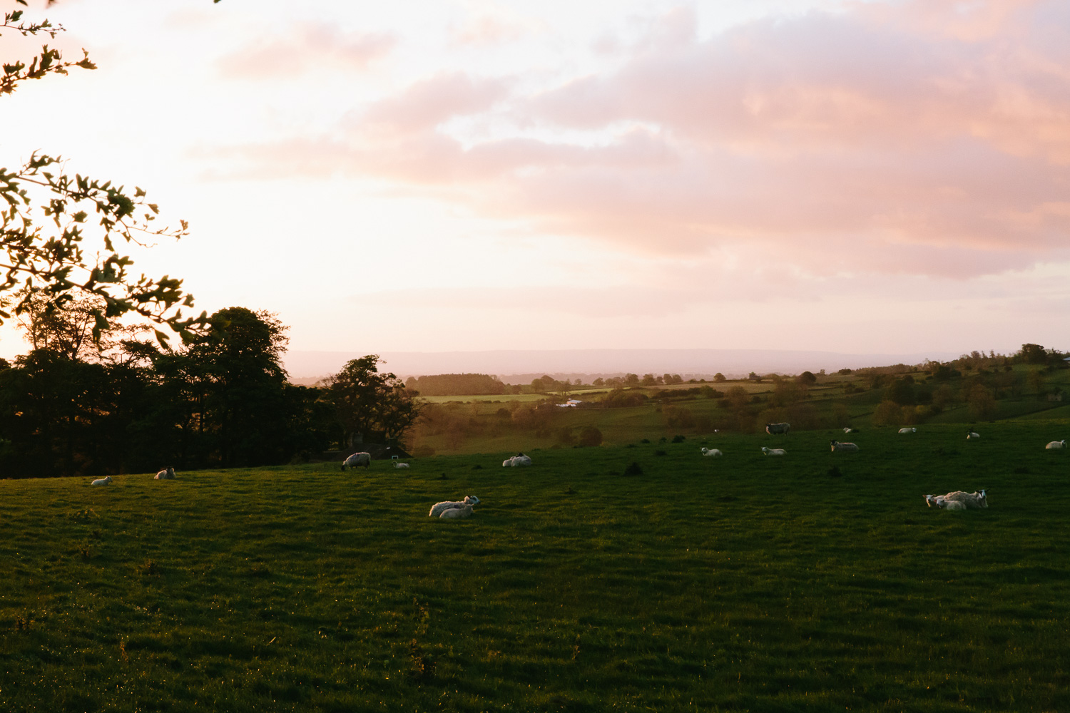 Yorkshire x On a hazy morning