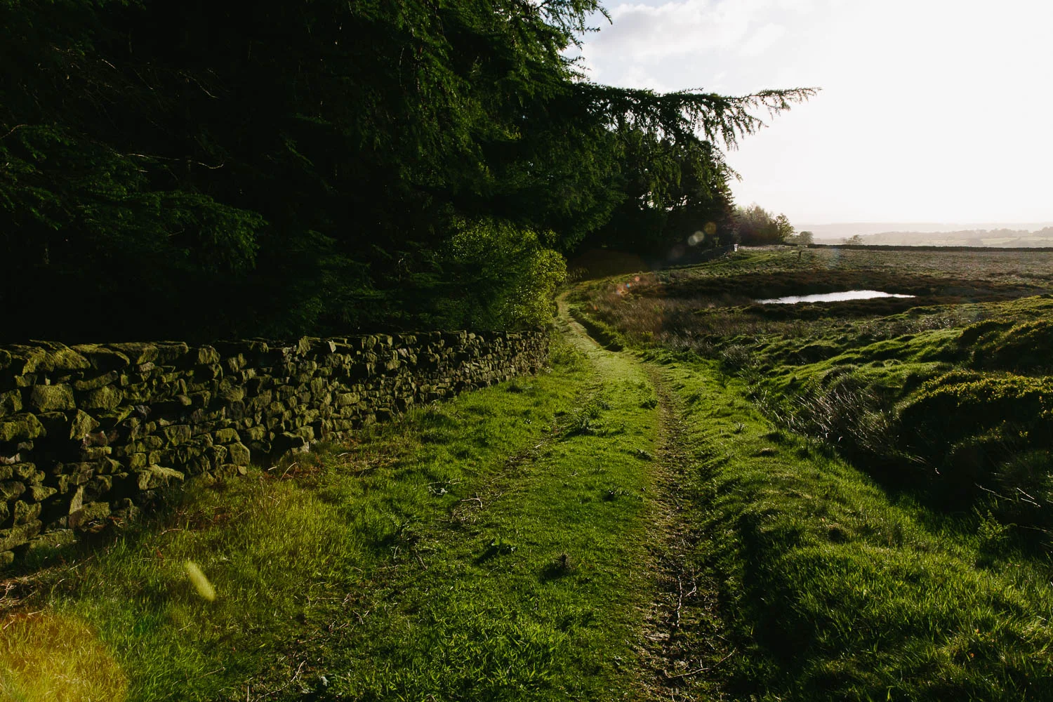 Yorkshire x On a hazy morning