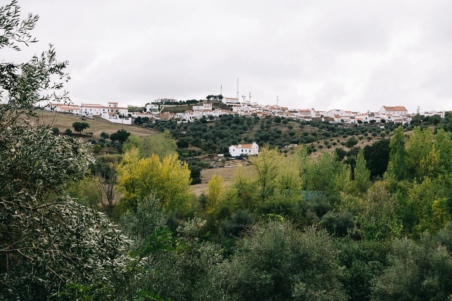 Visit Alentejo Portugal fall 2015 - On a hazy morning