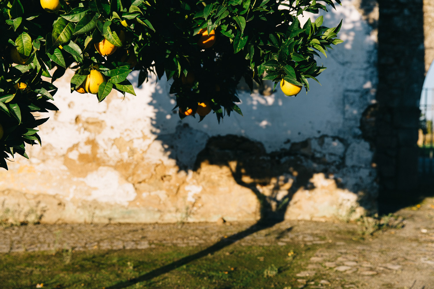 Visit Alentejo Portugal fall 2015 - On a hazy morning