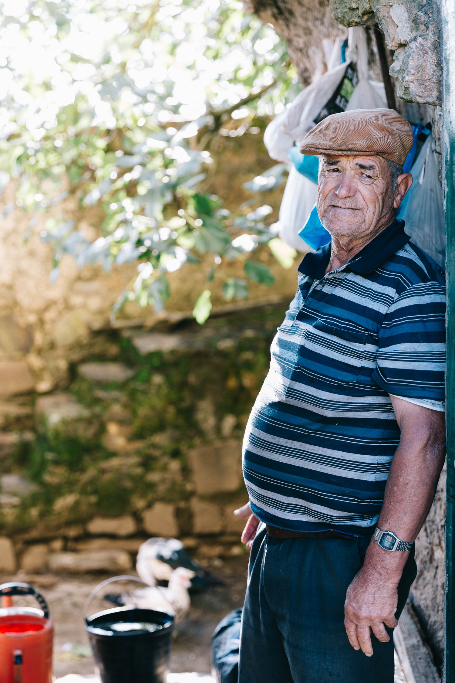 Visit Alentejo Portugal fall 2015 - On a hazy morning
