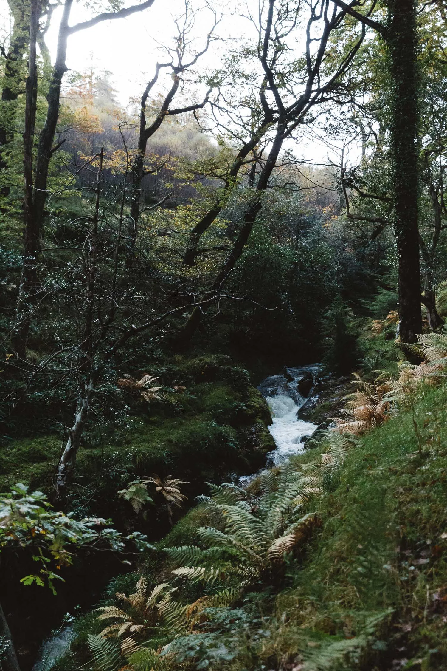 Love Ireland - Wicklow Mountains - Glendalough