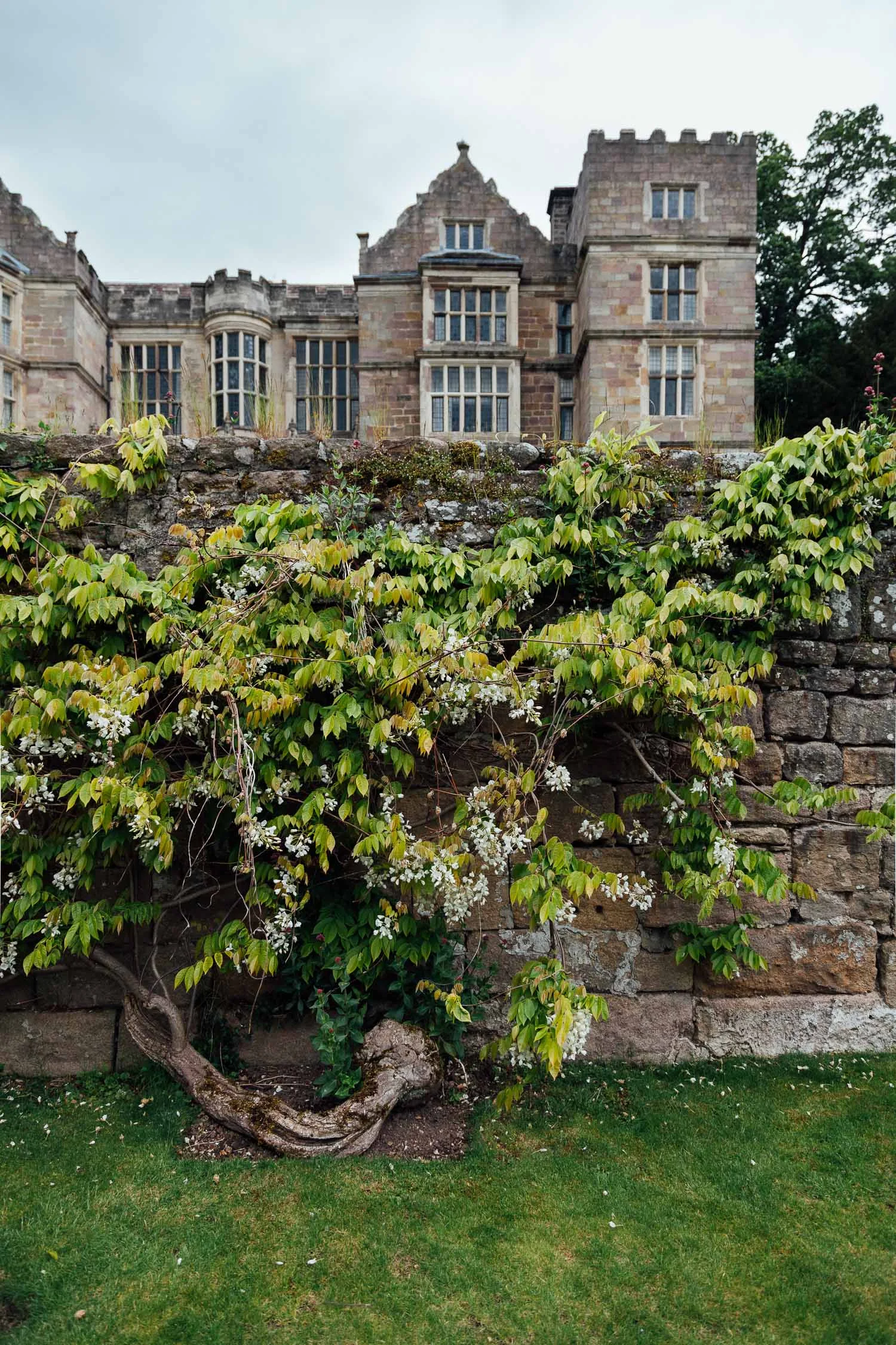 Botanical - gardens photography