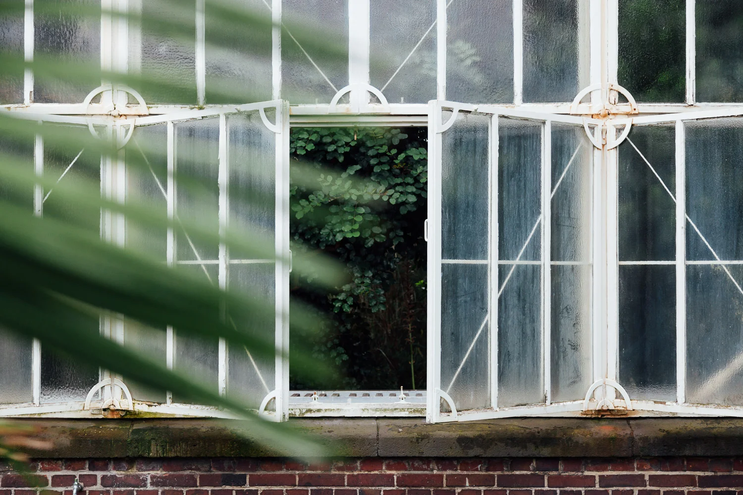 Botanical - garden photography