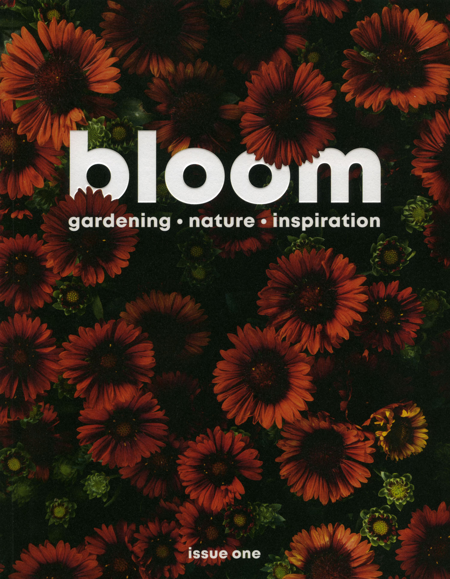 Shoot Bloom | cover and photo essay — a