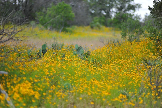 20120527-dsc_5314.jpg