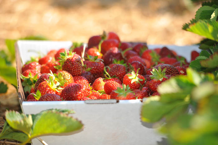 20130601-DSC_1637.jpg