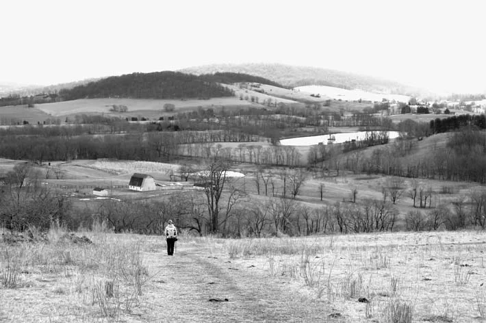 Picturesque valley with hubcap sized cow pie in foreground.