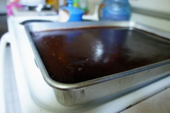 Texas sheet cake. Charmingly unsophisticated.