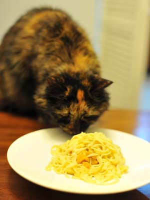 Old cat, up to her old tricks.