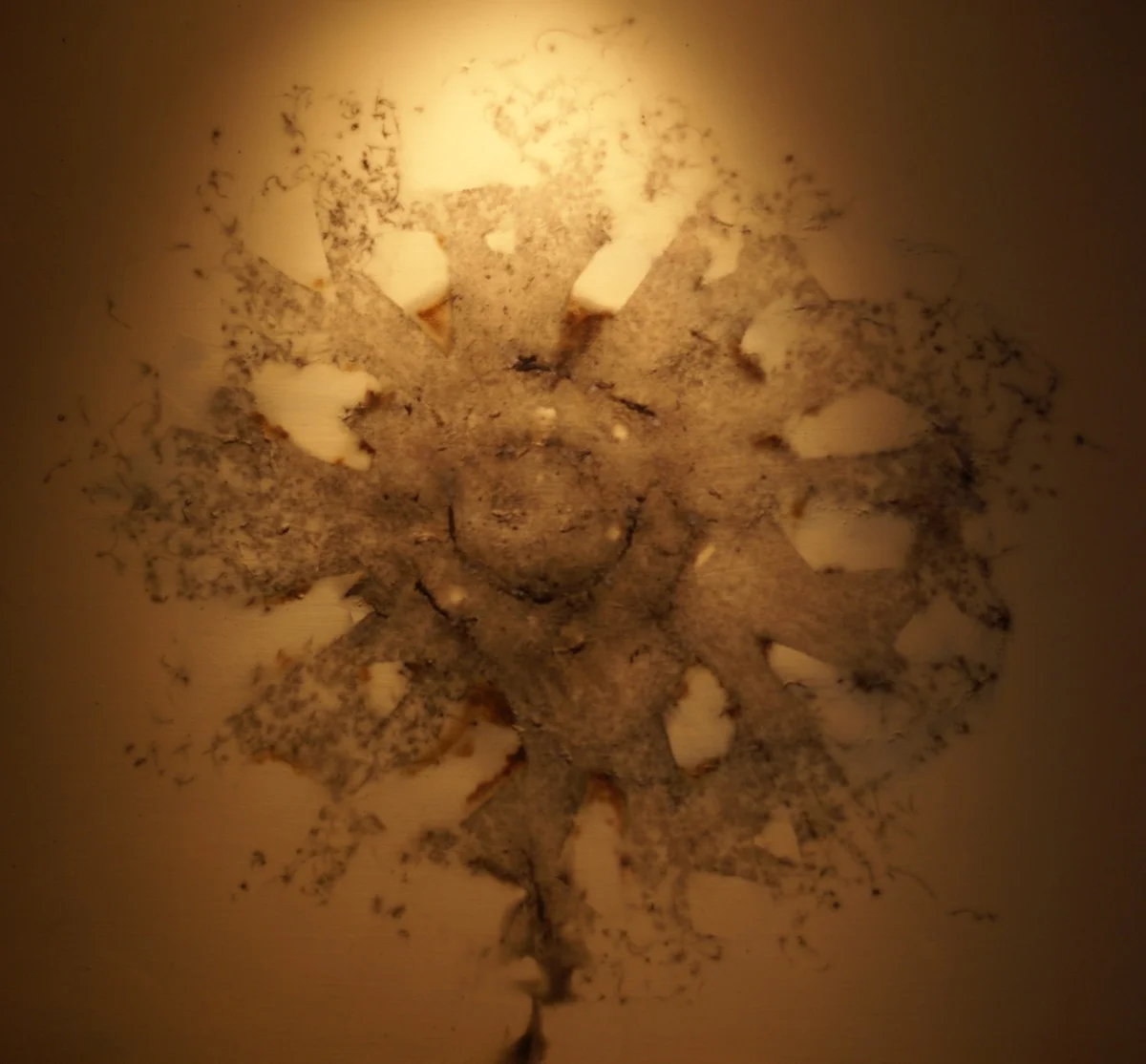 BLOW with a single light.