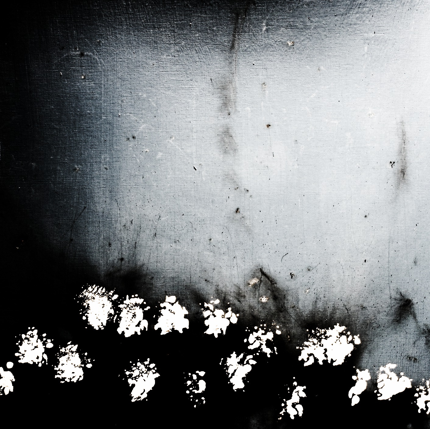 Flowers Black n White.jpg