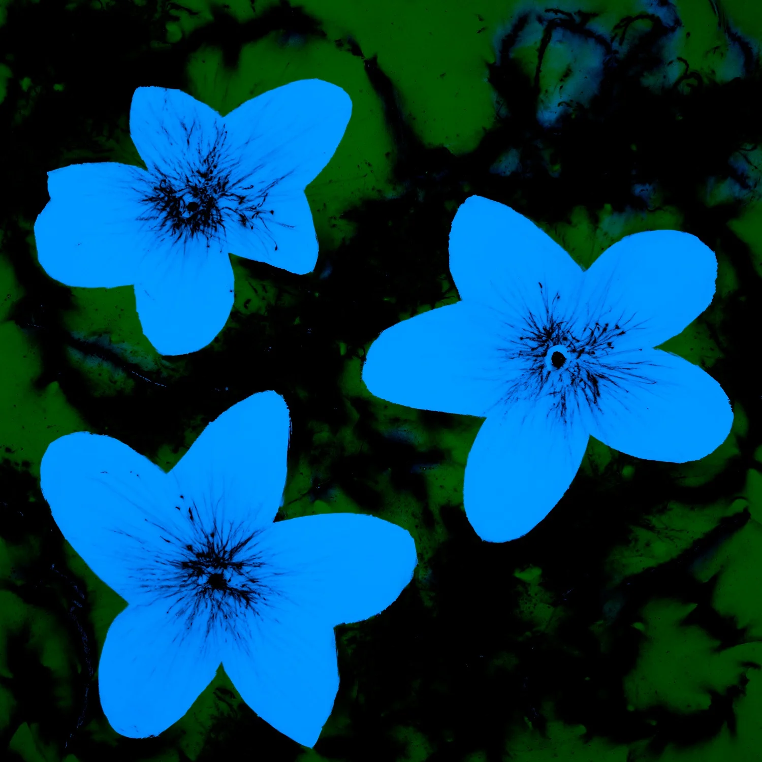 b(l)oom 3 Blue Green sat.jpg