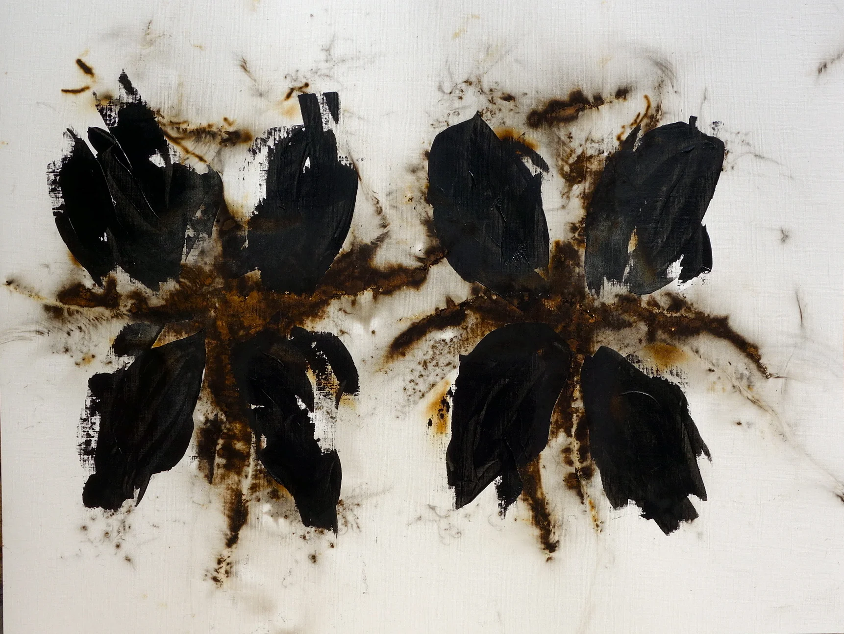 Uncultivated Black #2