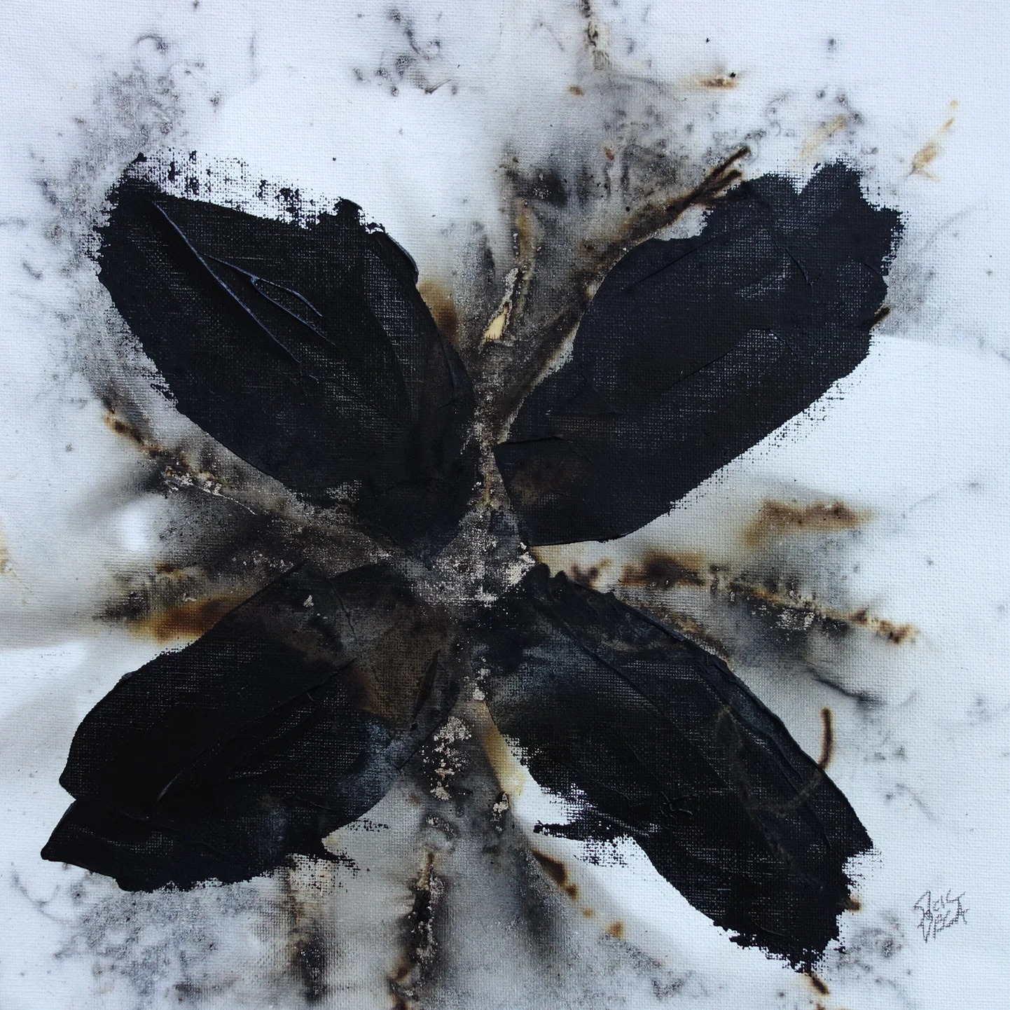 Uncultivated Black #5