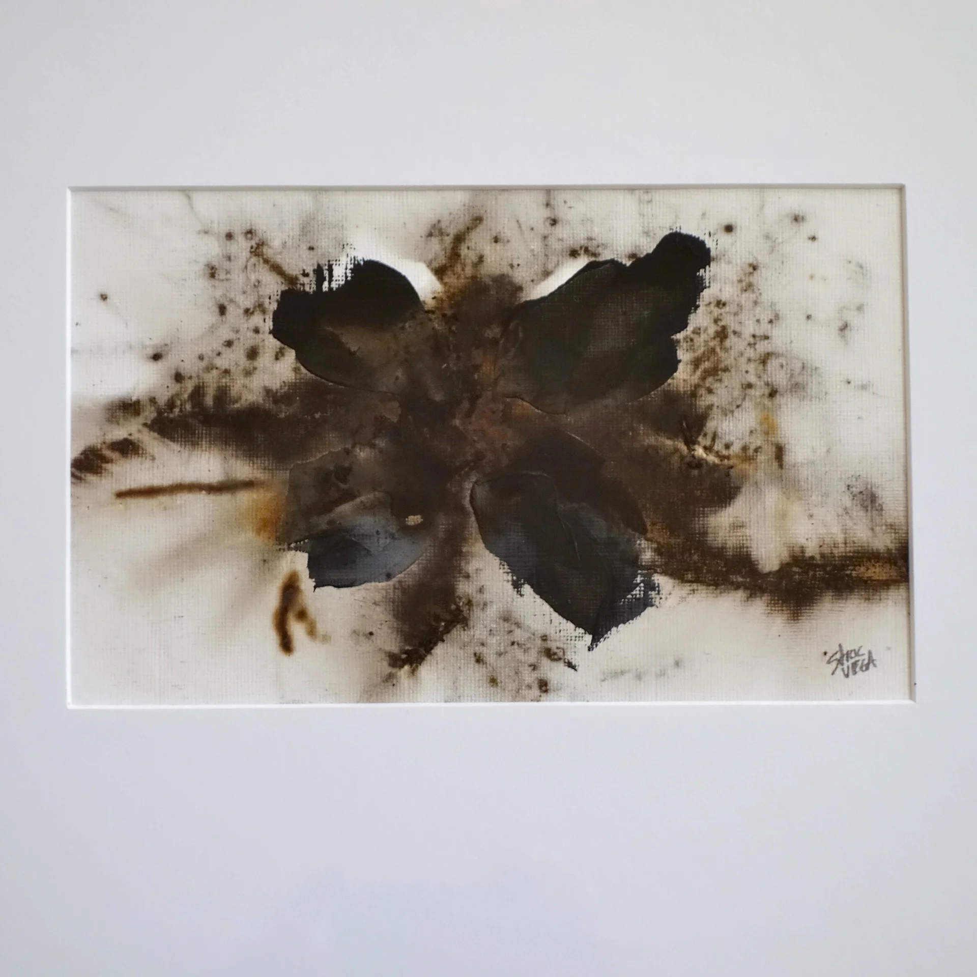 Uncultivated Black #6