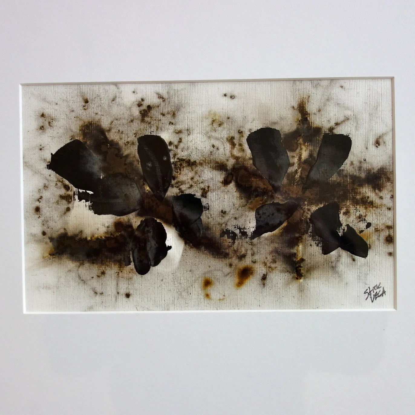 Uncultivated Black #7