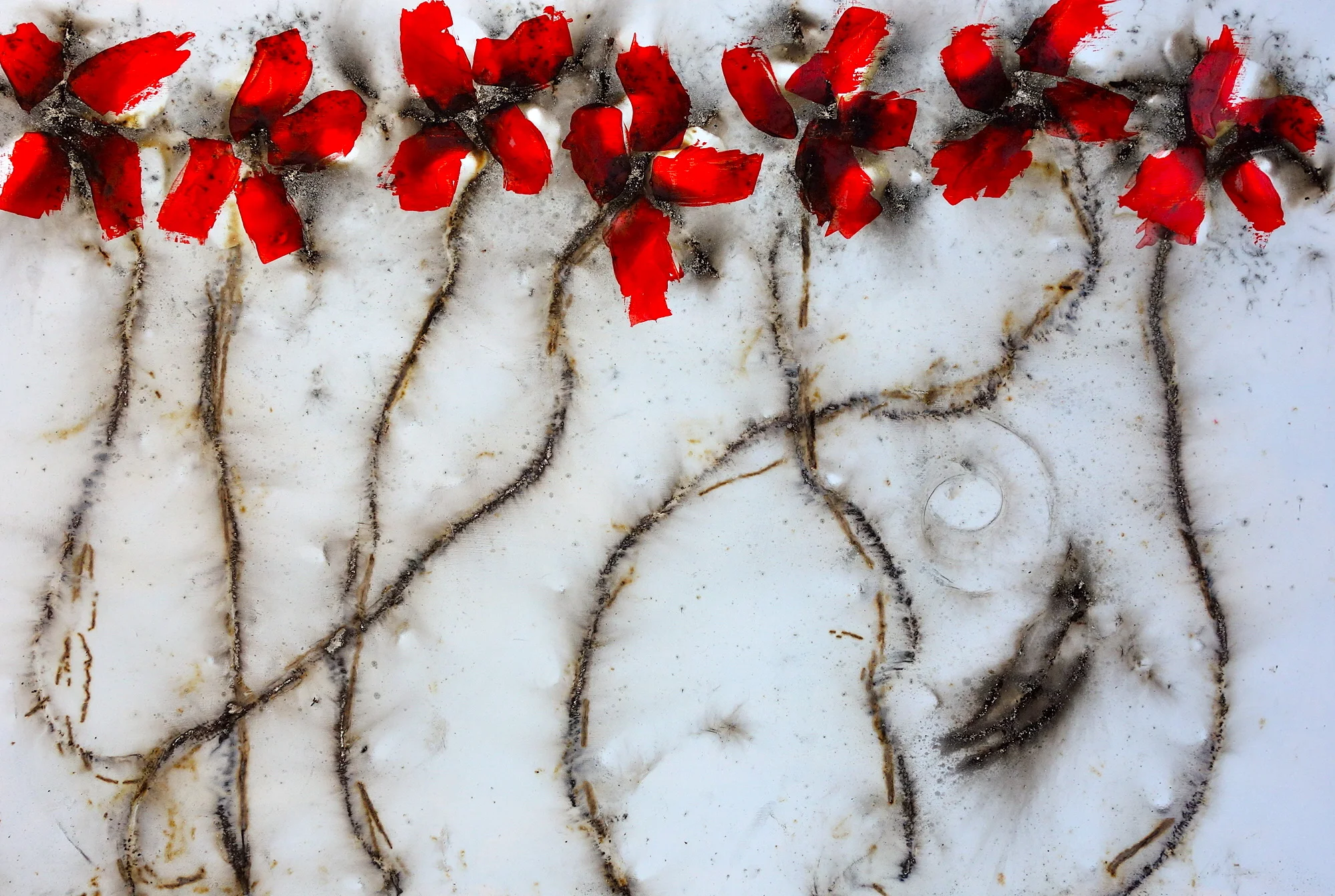 I Am Always Burning Flowers