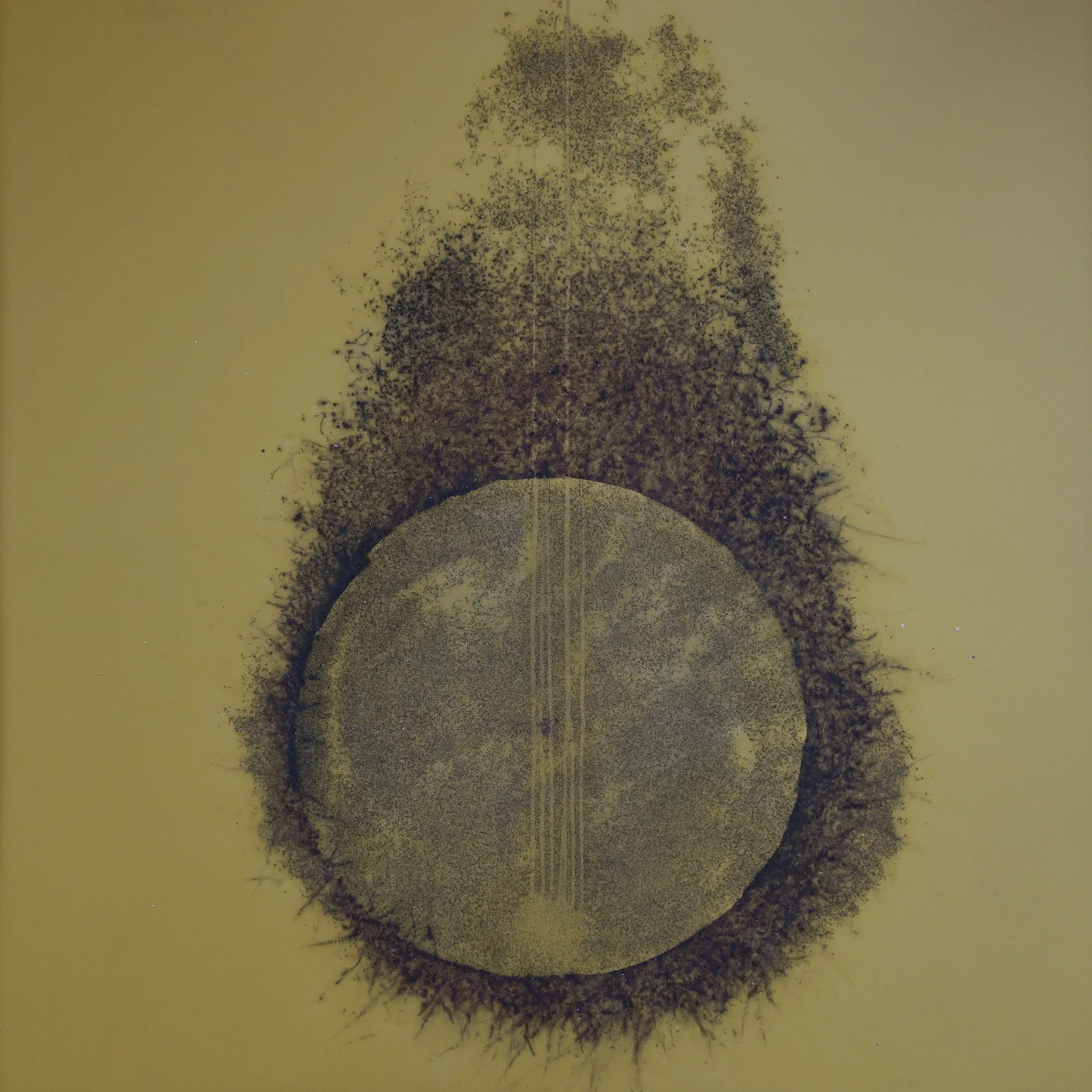 She Is The Guy That Killed the Sky