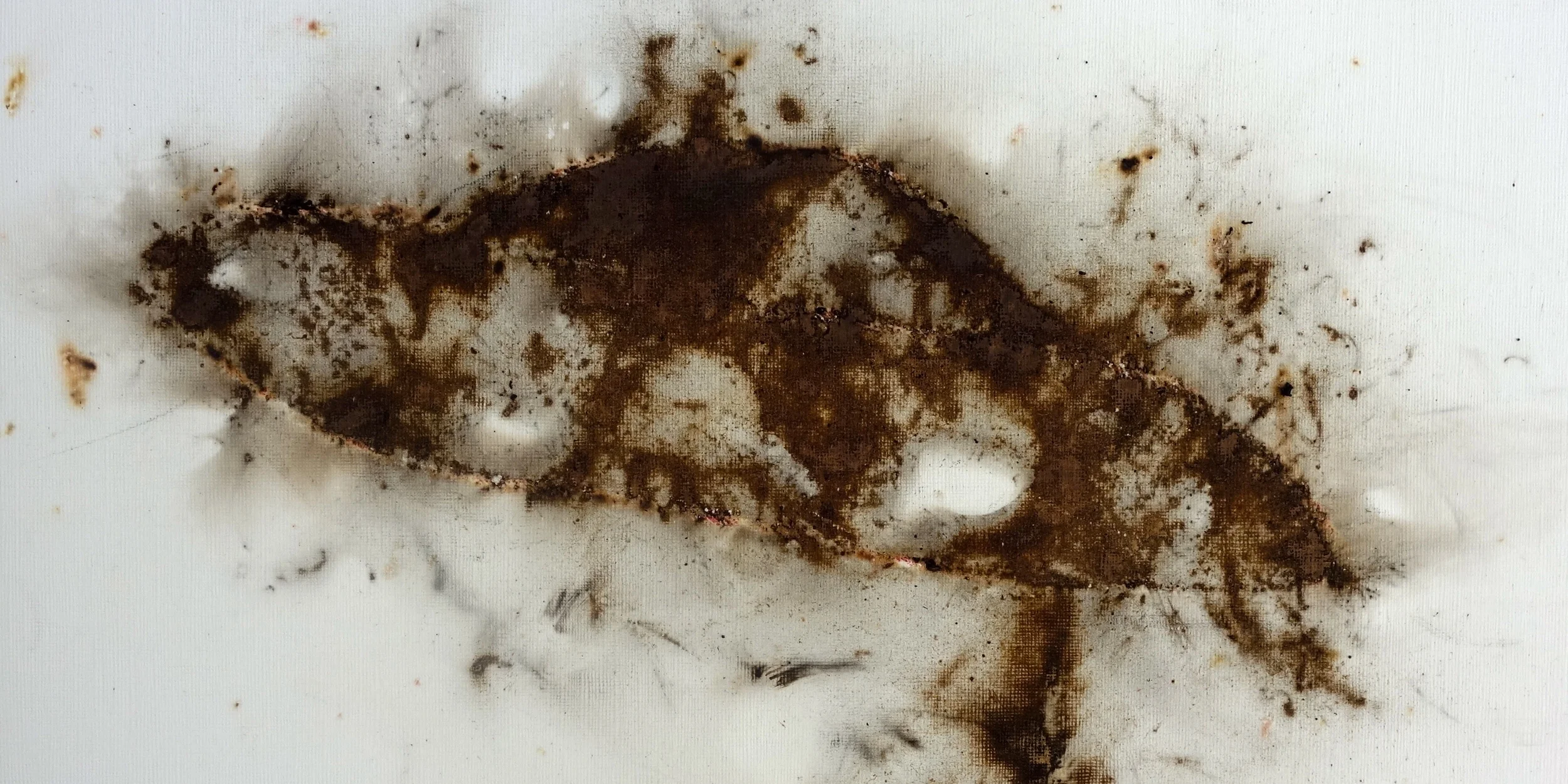 Renee's Sexy, Nude Spaceship!