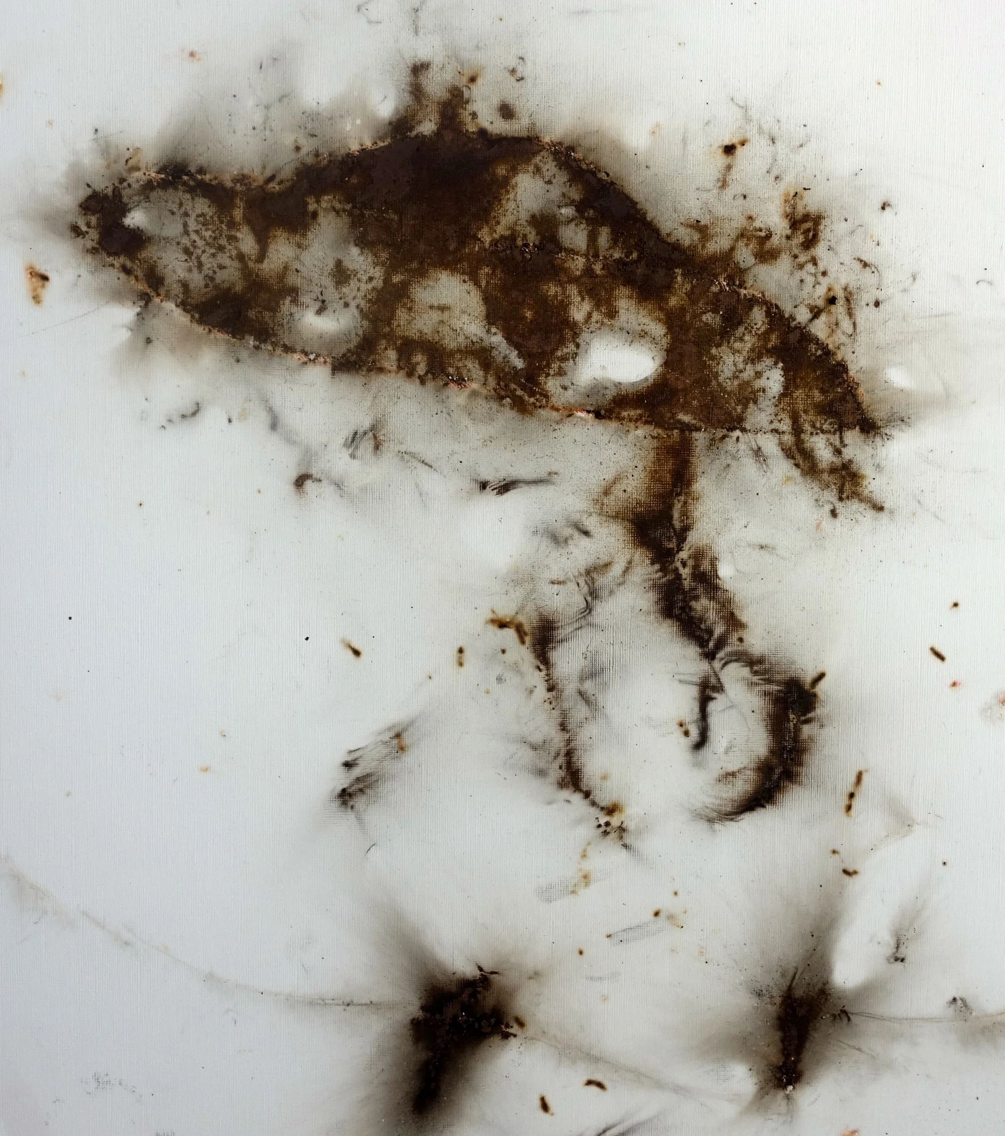 My Girlfriend's Spaceship!