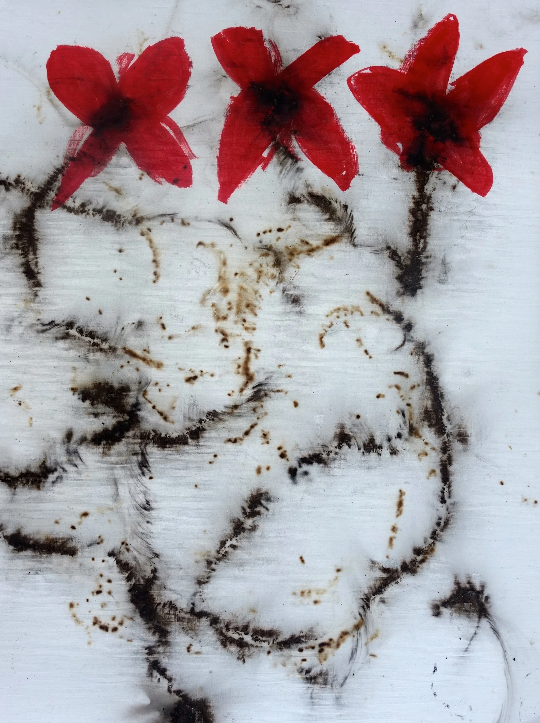 Who Burns Your Flowers?