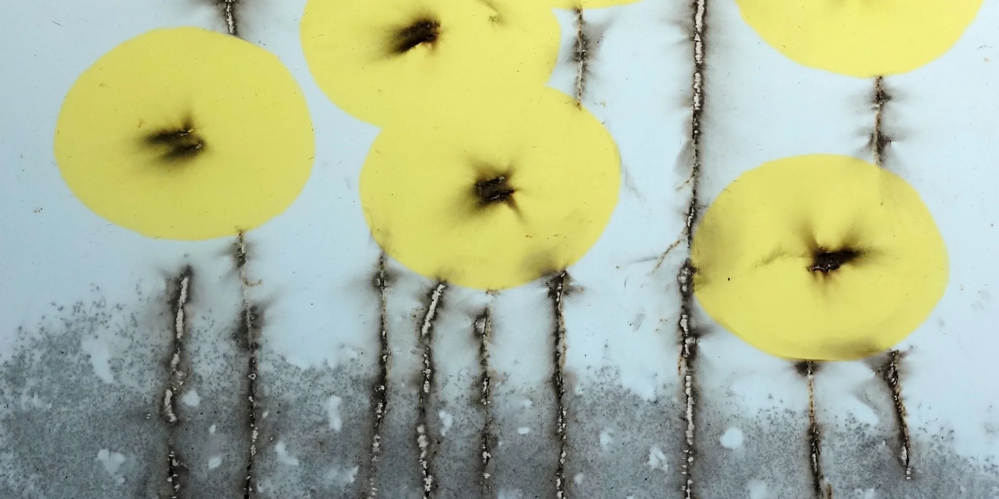 Should I Quit My Job?