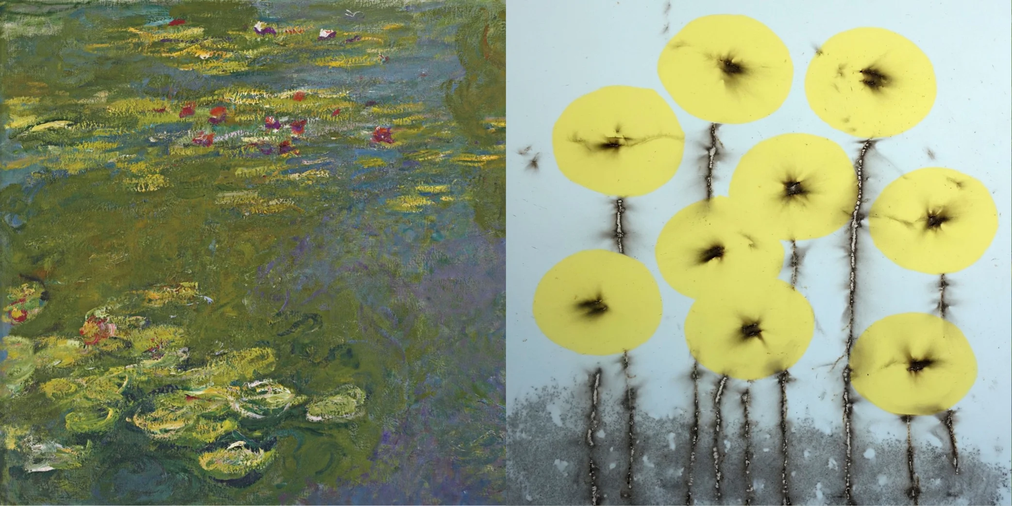 Monet Lilies vs. Vega Lilies! Game On!