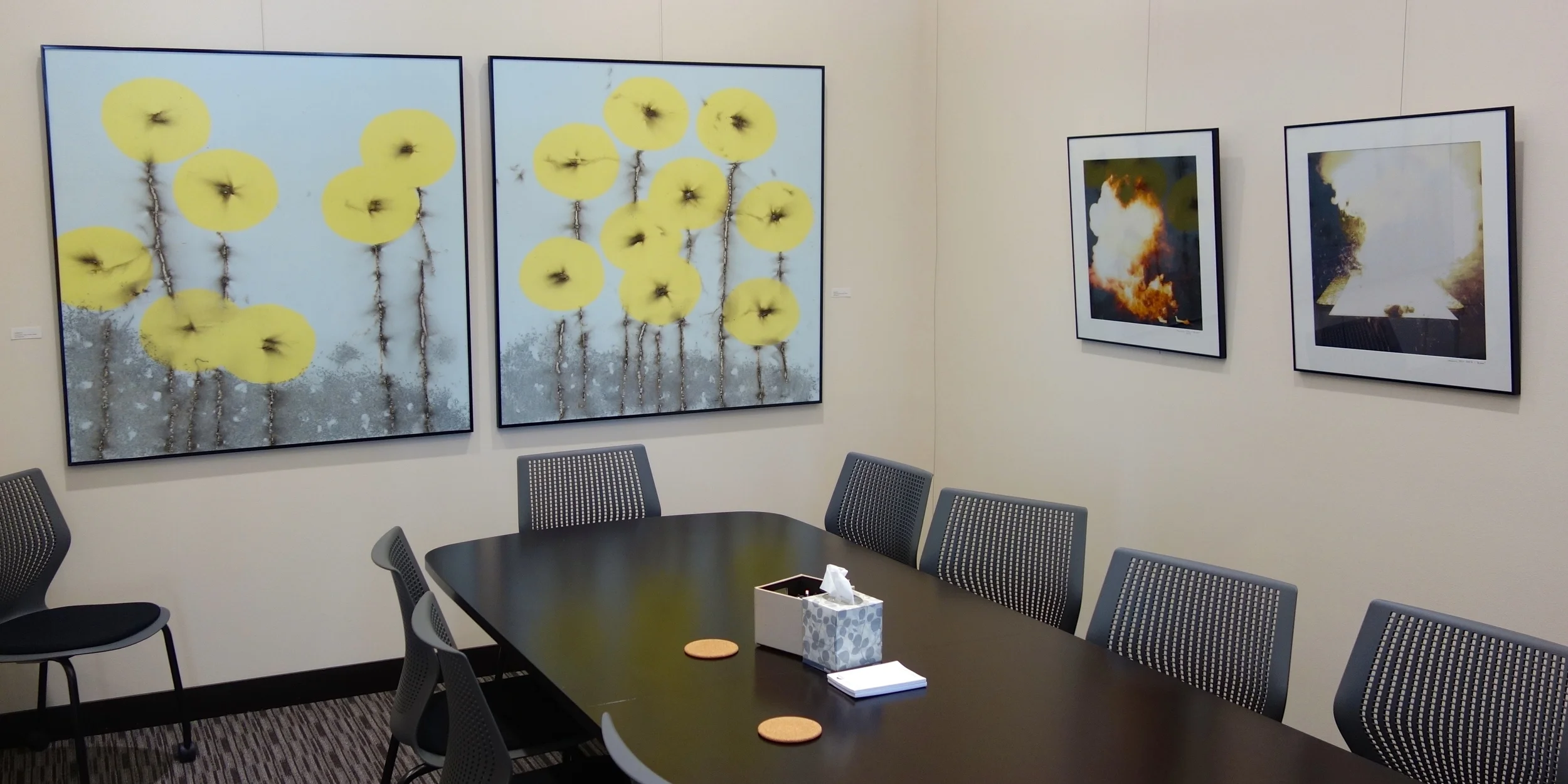 Vega Show At Lauer Realty Ends - Snow Global Photography Up Next!