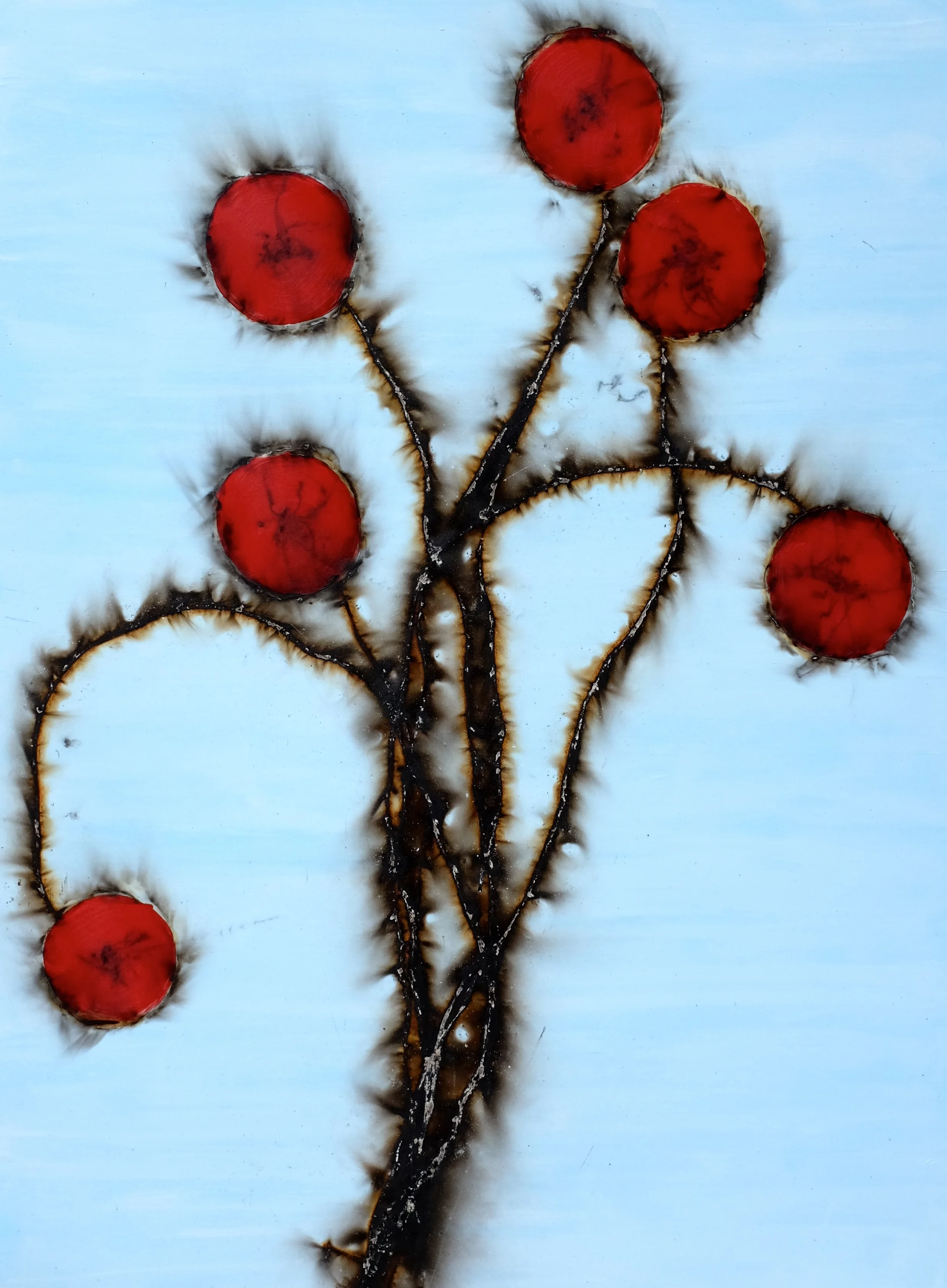 It Wasn't My Not Burning Flowers!