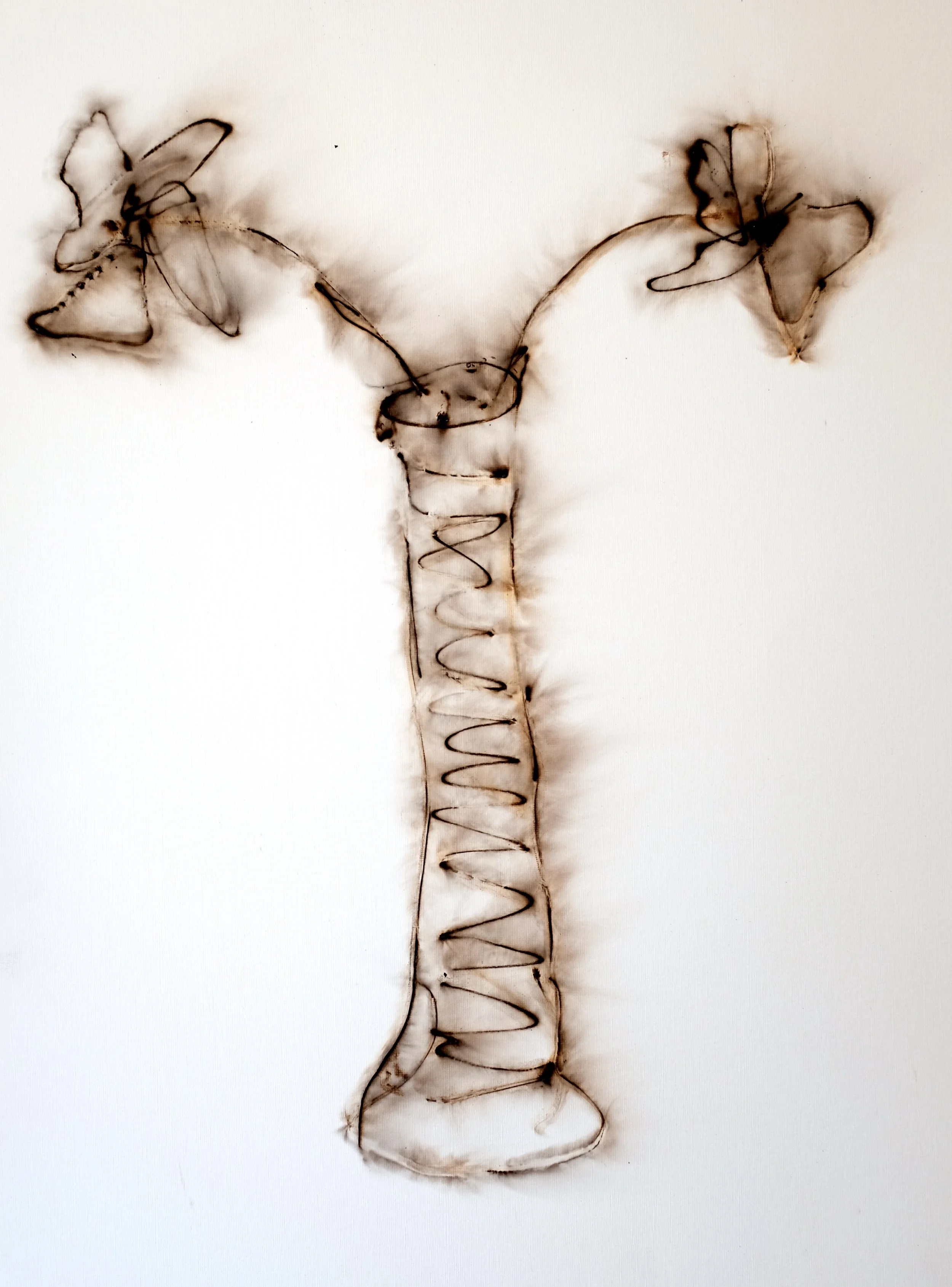 Then They Are The Two