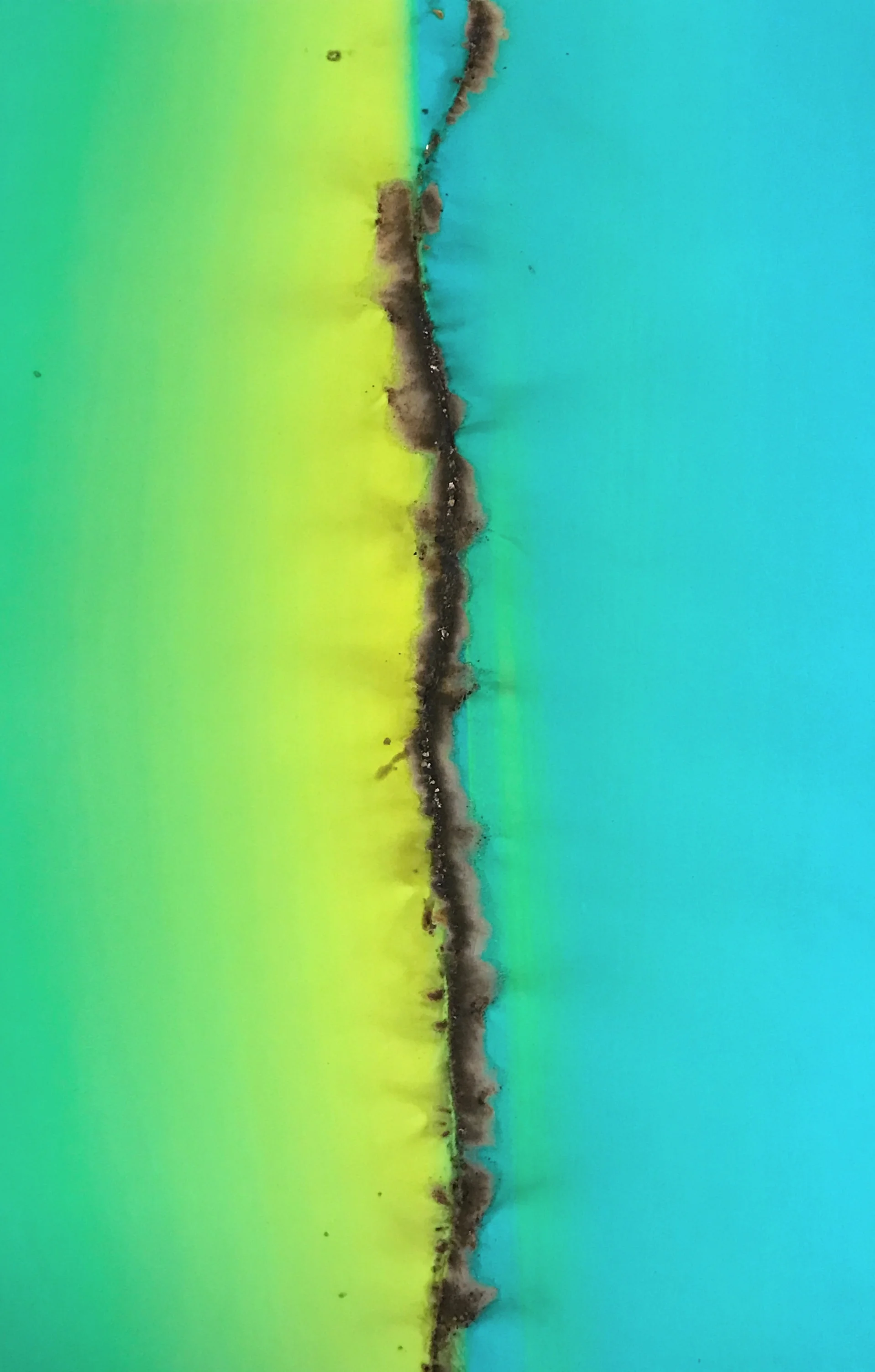 Teal Fused Lime.jpg