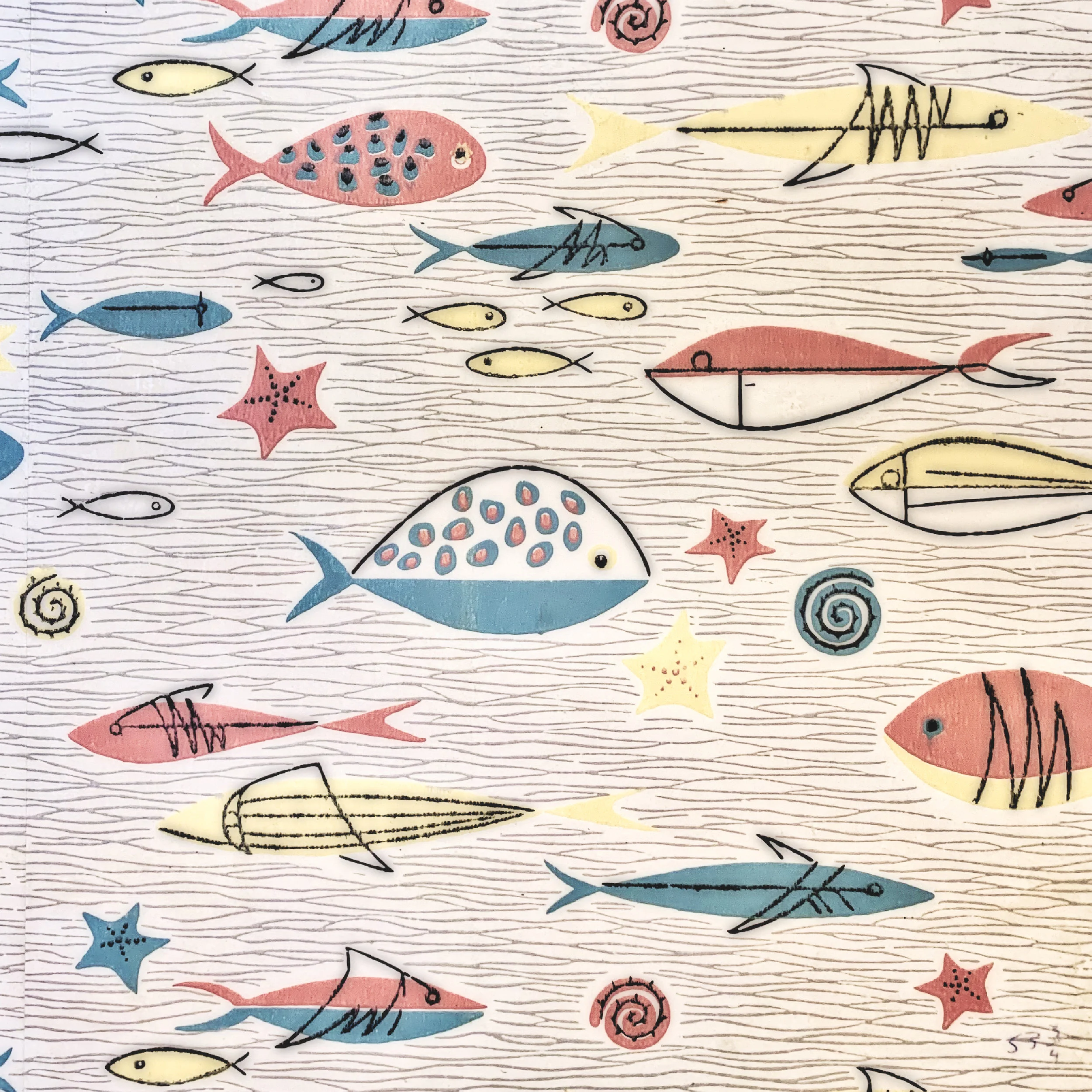 Fish PIC Dark Fog.jpeg